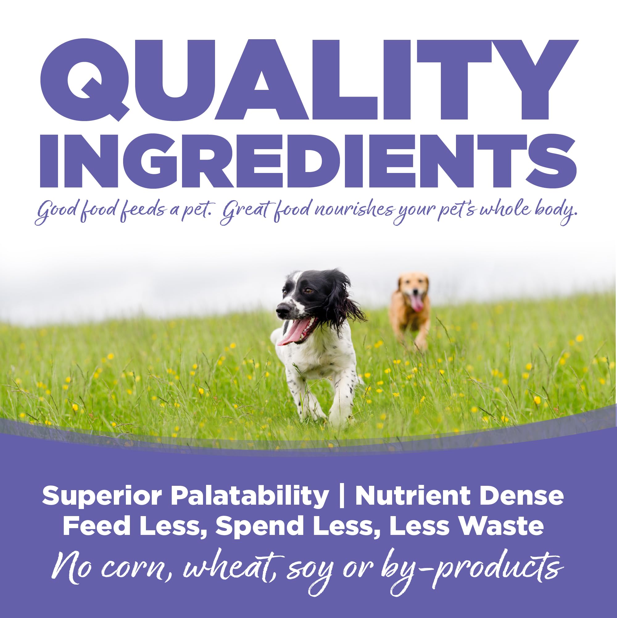 NutriSource Puppy Food for Small and Medium Breeds, Chicken Meal and Rice, 12LB