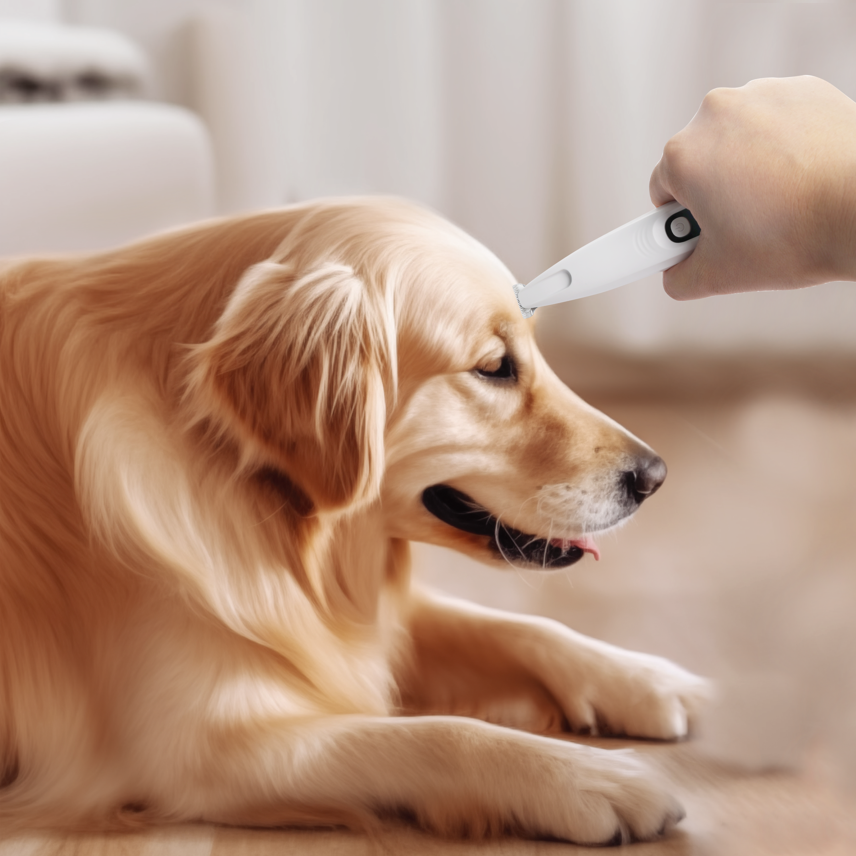 Pet Salon-Pet Hair Trimmer