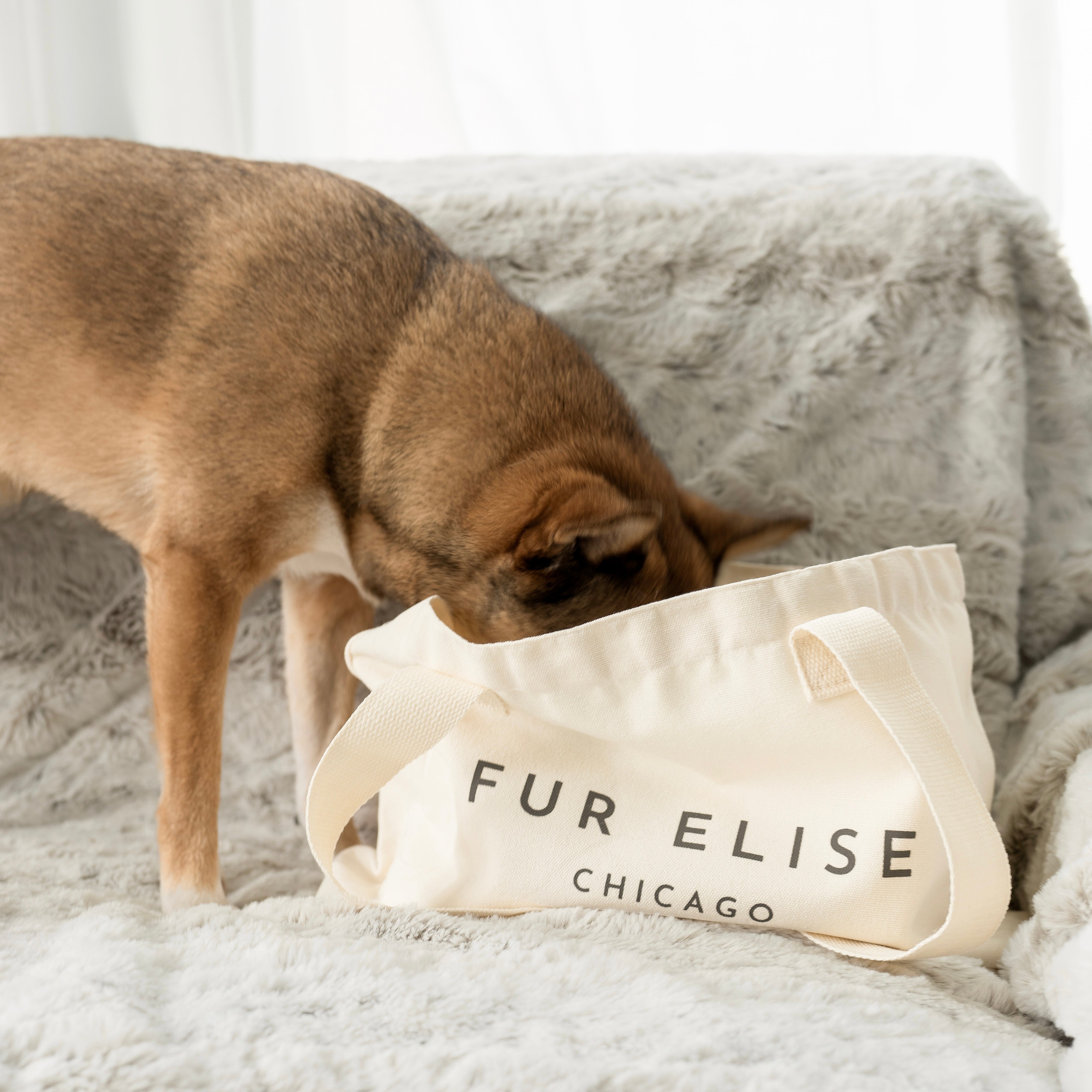 Fur Elise Logo Canvas Tote Bag