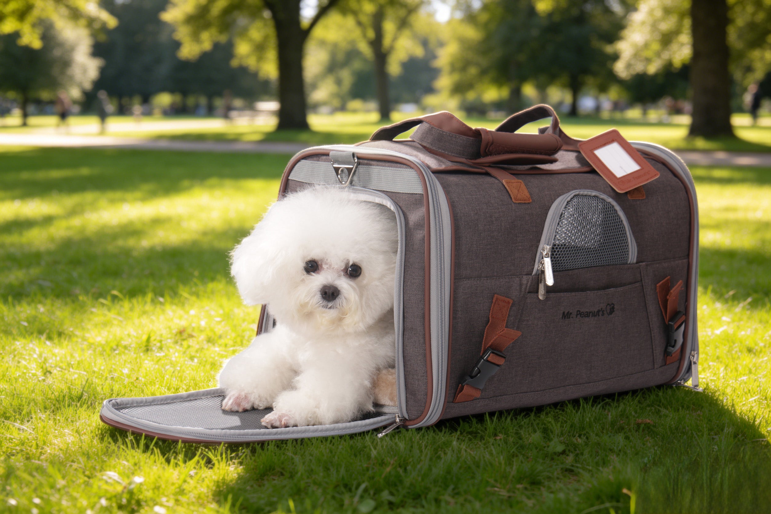Mr. Peanut's Gold Series Standard Size Airline Compliant Pet Carrier V3.0