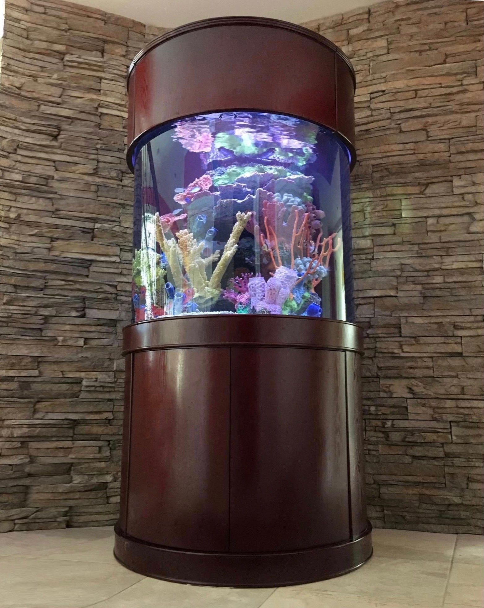 90 Gallon Glass 3/4 Cylinder Round Aquarium With Stand and Canopy in Golden Oak