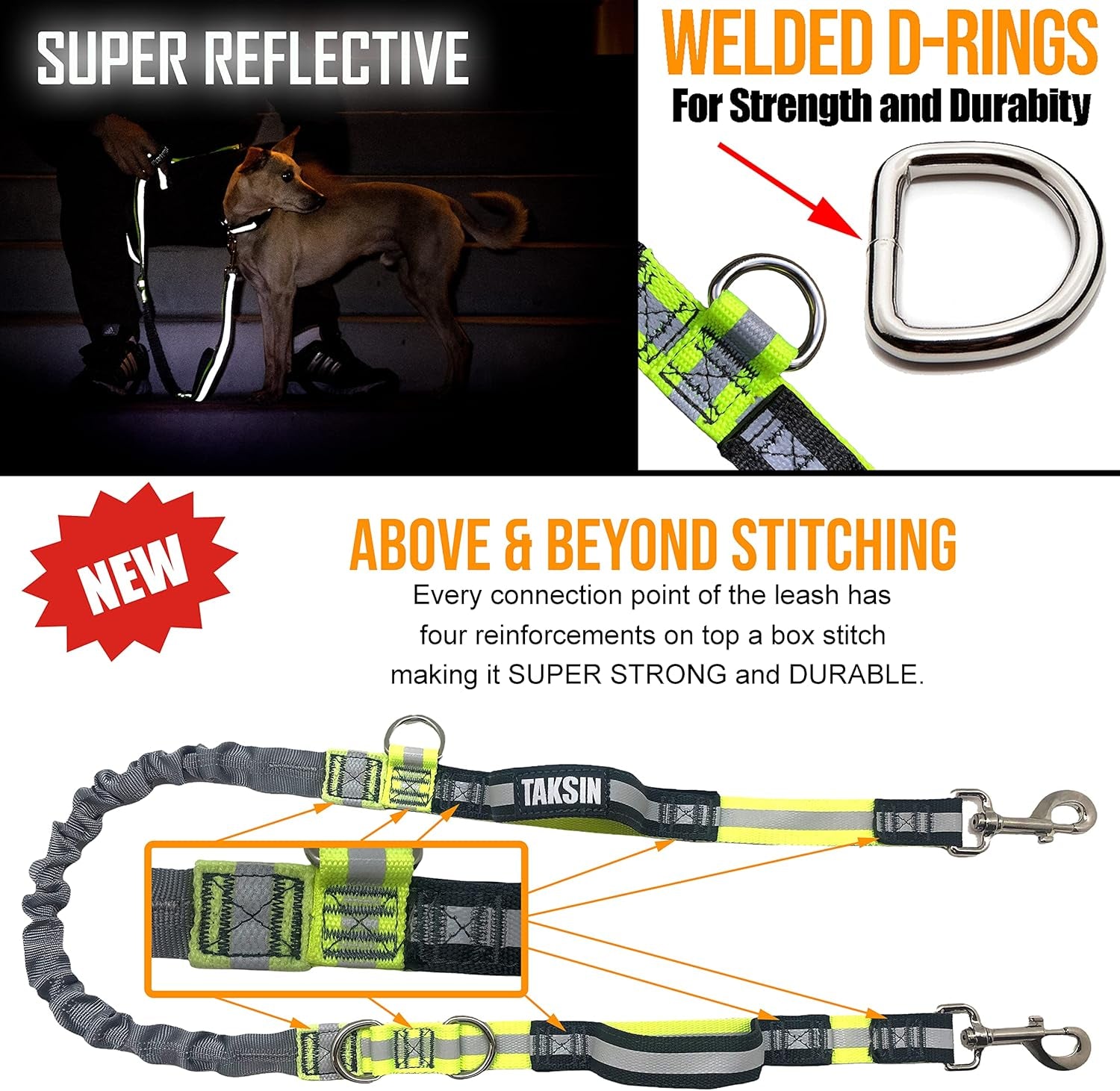 Hands Free Dog Leash Two Dogs Double Bungee Reflective Running Kit