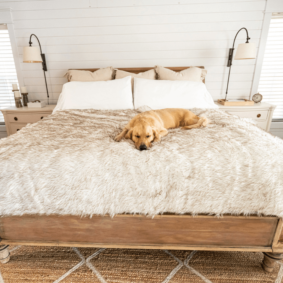 PupProtector Waterproof Throw Blanket - White with Brown Accents