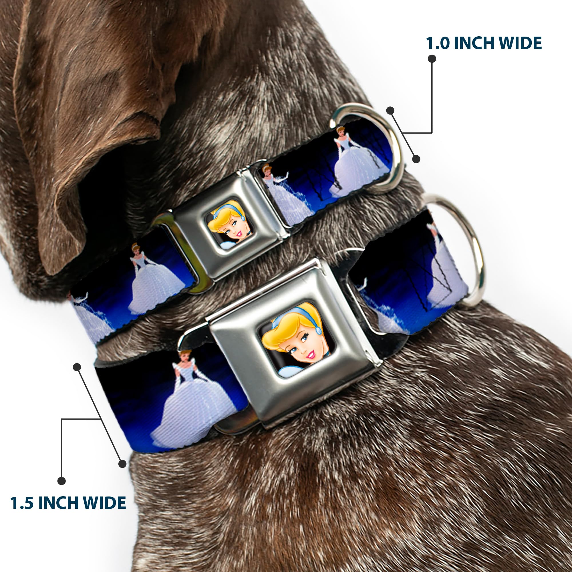Buckle-Down Seatbelt Buckle Dog Collar - Cinderella Transformation Blue Fade - 1' Wide - Fits 9-15' Neck - Small