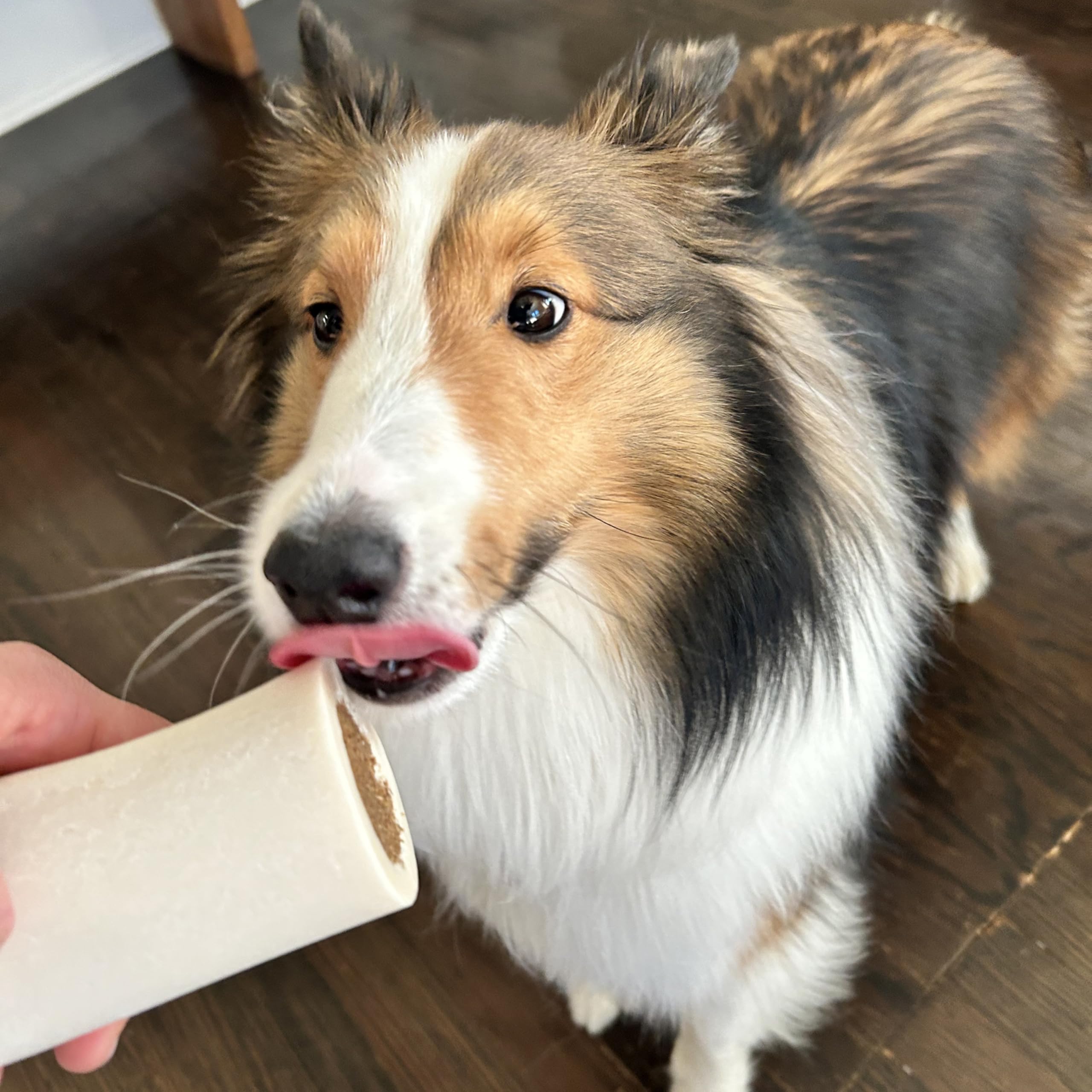 Cadet Stuffed Shin Bone, Long-Lasting Dog Chew Bones for Aggressive Chewers, High Protein Filled Bone Dental Chew for Dogs, Chic