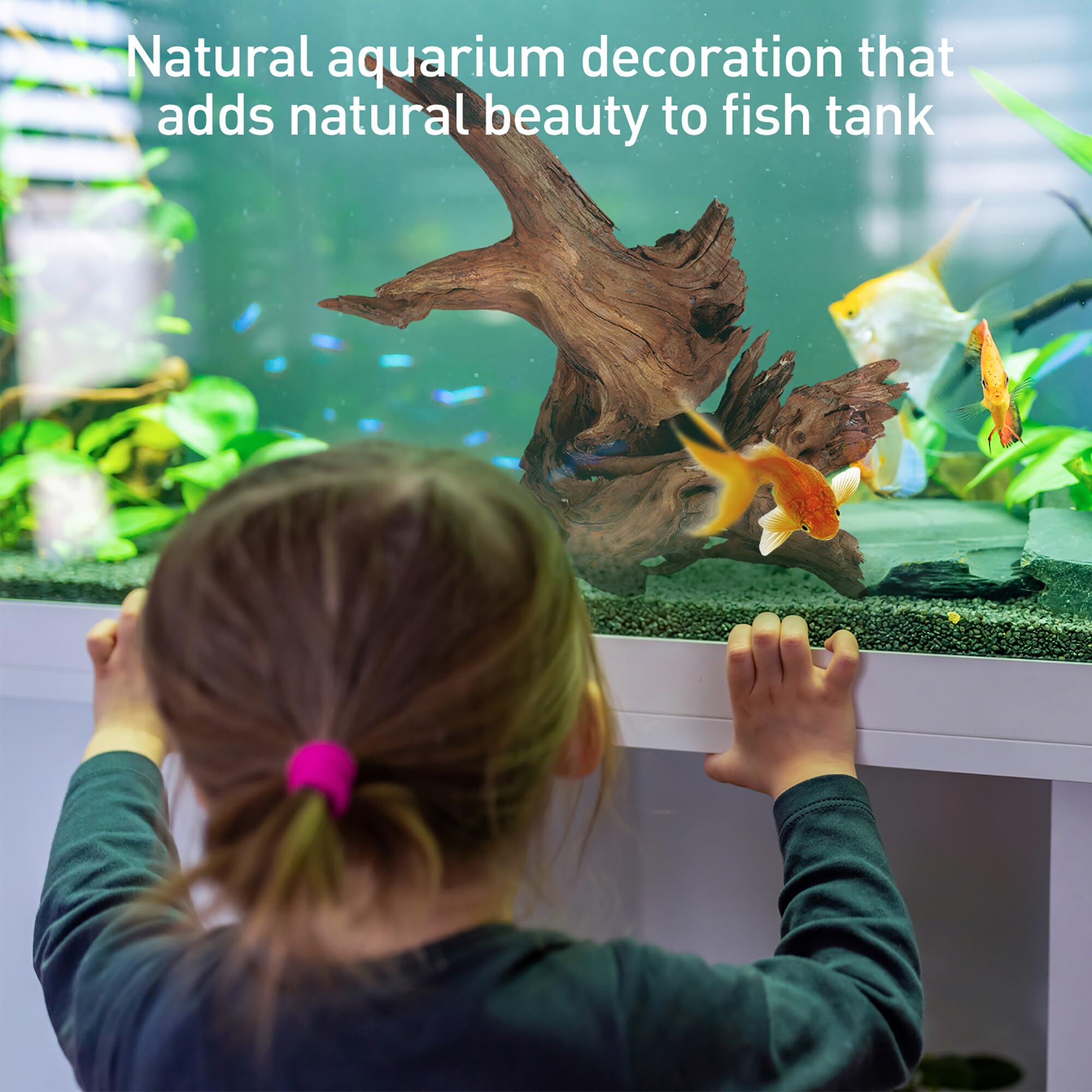 WDEFUN Natural Driftwood for Aquarium Decor, 13-16 Inch Assorted Branches, Perfect for Reptile & Fish Tanks