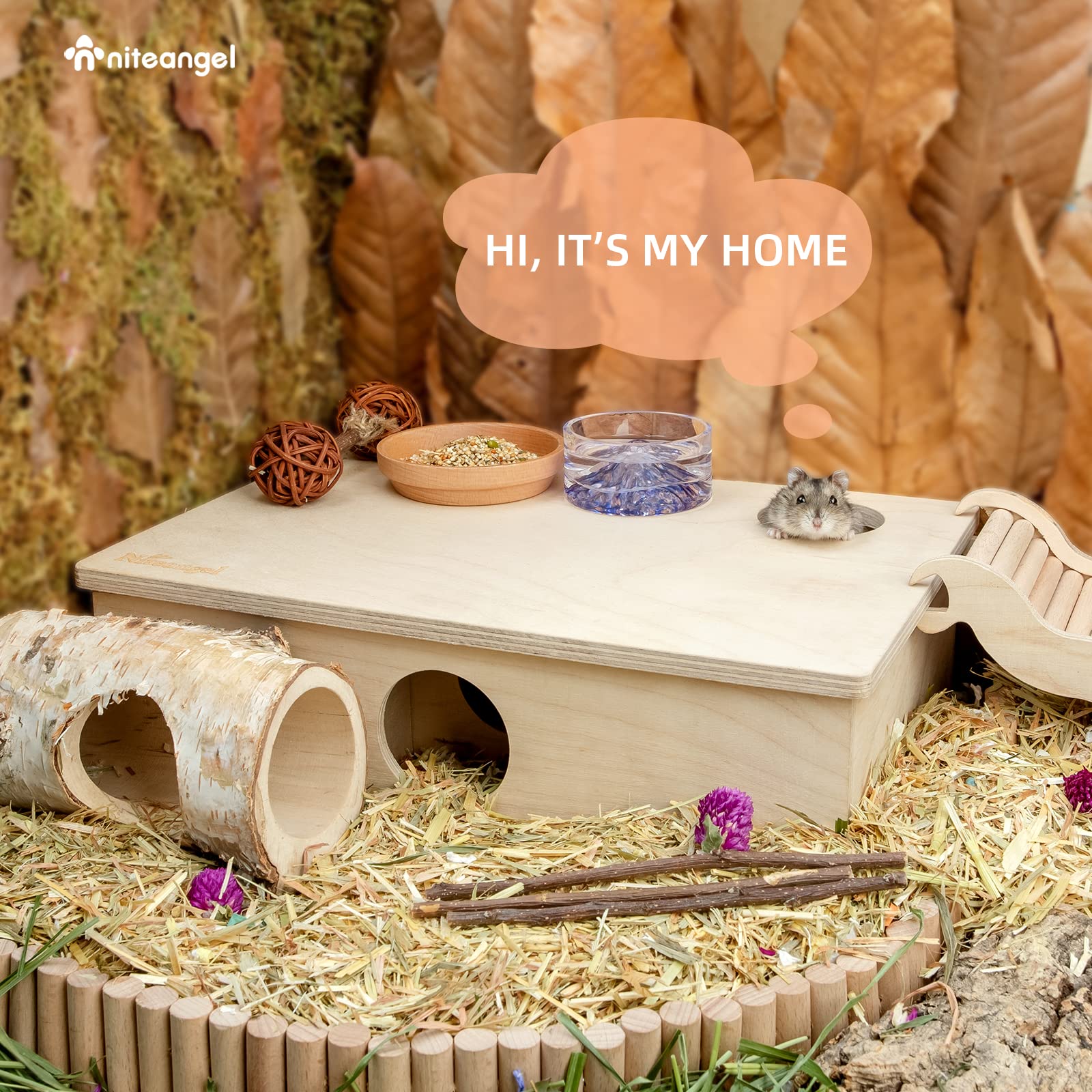Niteangel Multi-Chamber Hamster House Maze: - Multi-Room Hideouts & Tunnel Exploring Toys for Hamster Gerbils Mice Lemmings (6-R