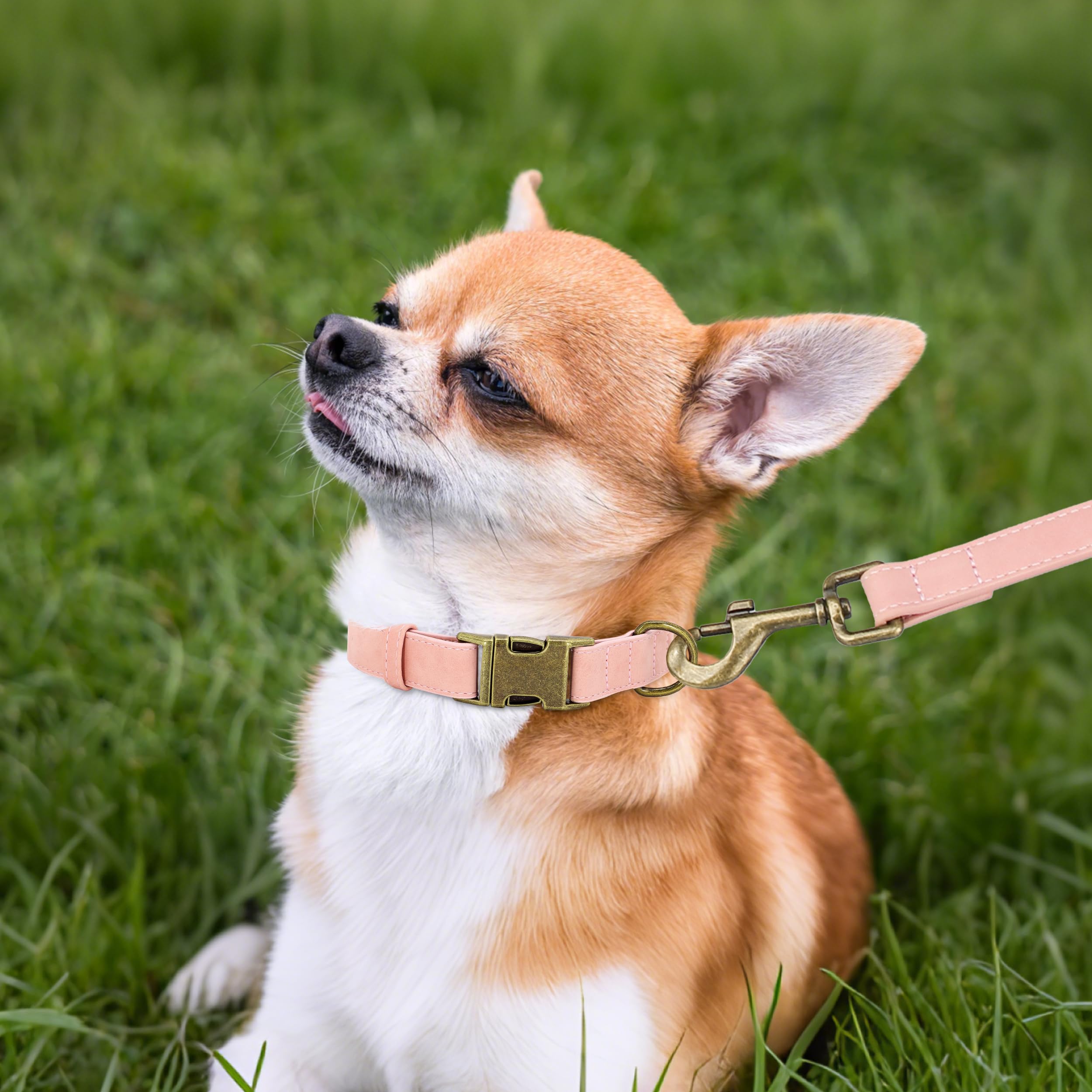 Didog Soft Leather Dog Collar, Durable Quick Released Pet Collars With Metal Buckle, Adjustable Pink Dog Collar Faux Leather For