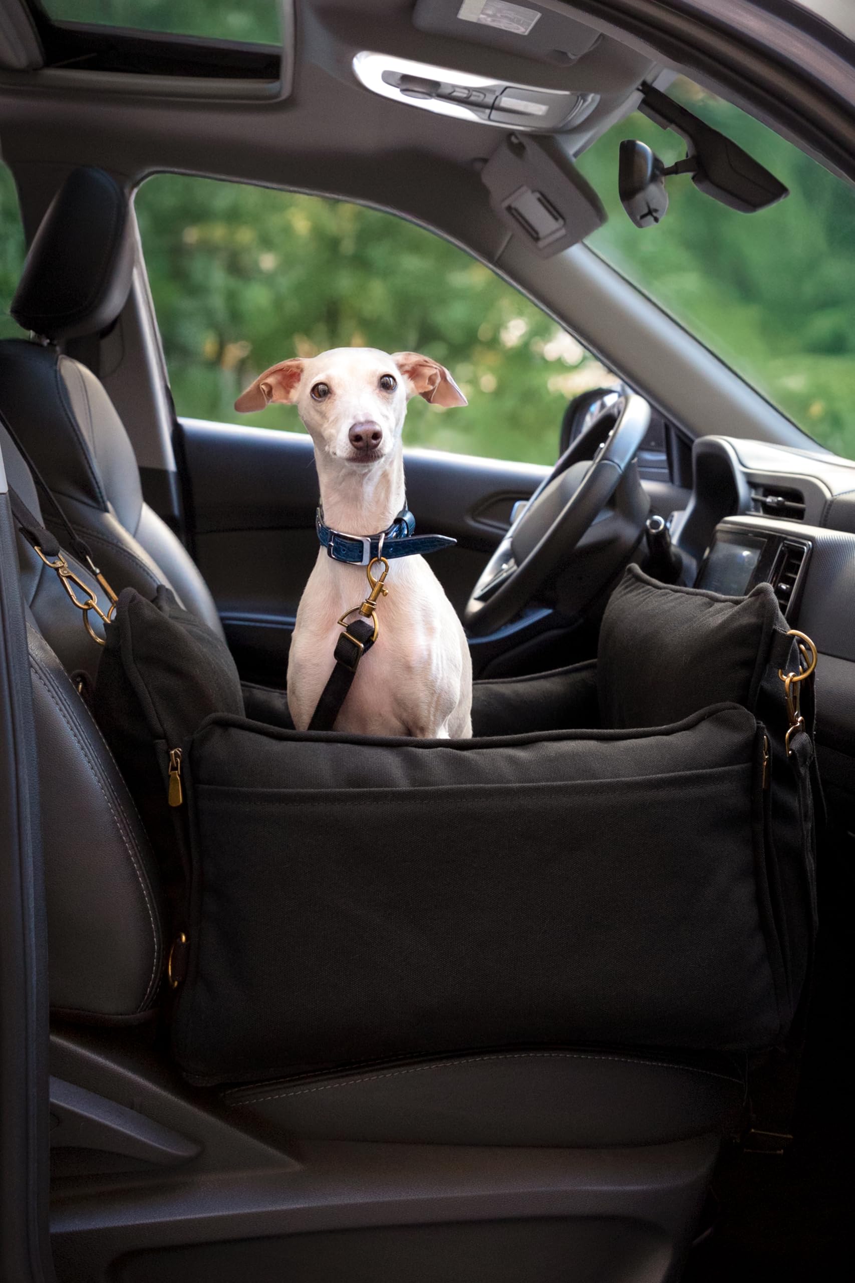 Noah & Paw Dog Car Seat Carrier, Small Dog Car Seat for Small Medium Pets with Harness Clip, 4X Safety Feature, Booster Travel B