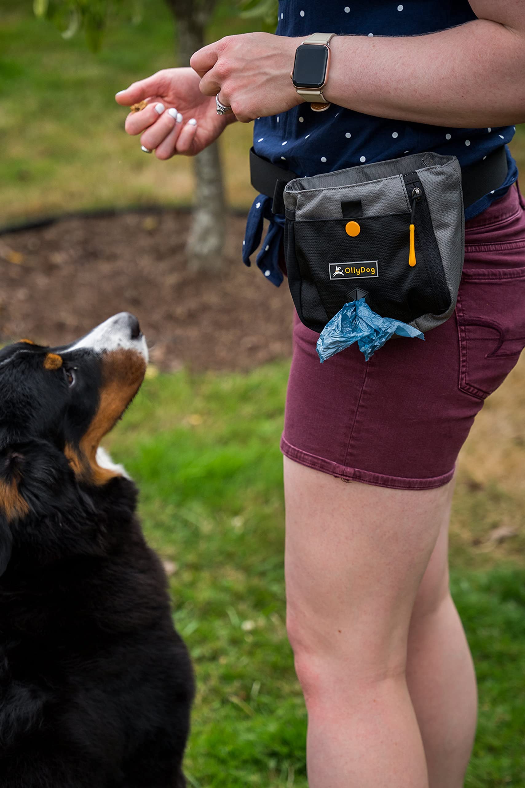 OllyDog Backcountry Day Bag Fanny Pack, Dog Treat Pouch, Polyester, One Size, Raven, Model 1050-1100-102
