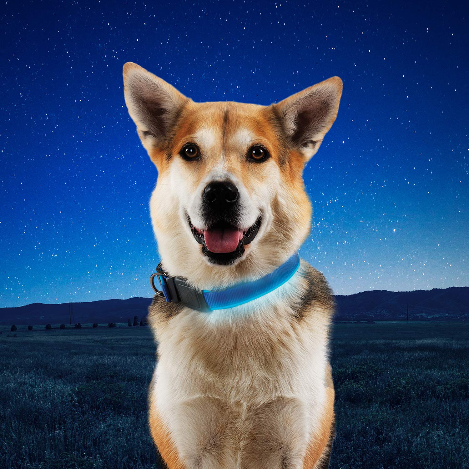 Nite Ize Nitedog Rechargeable Led Collar, Usb Rechargeable Light Up Dog Collar W/Metal Buckle, Water Resistant, Large, Blue