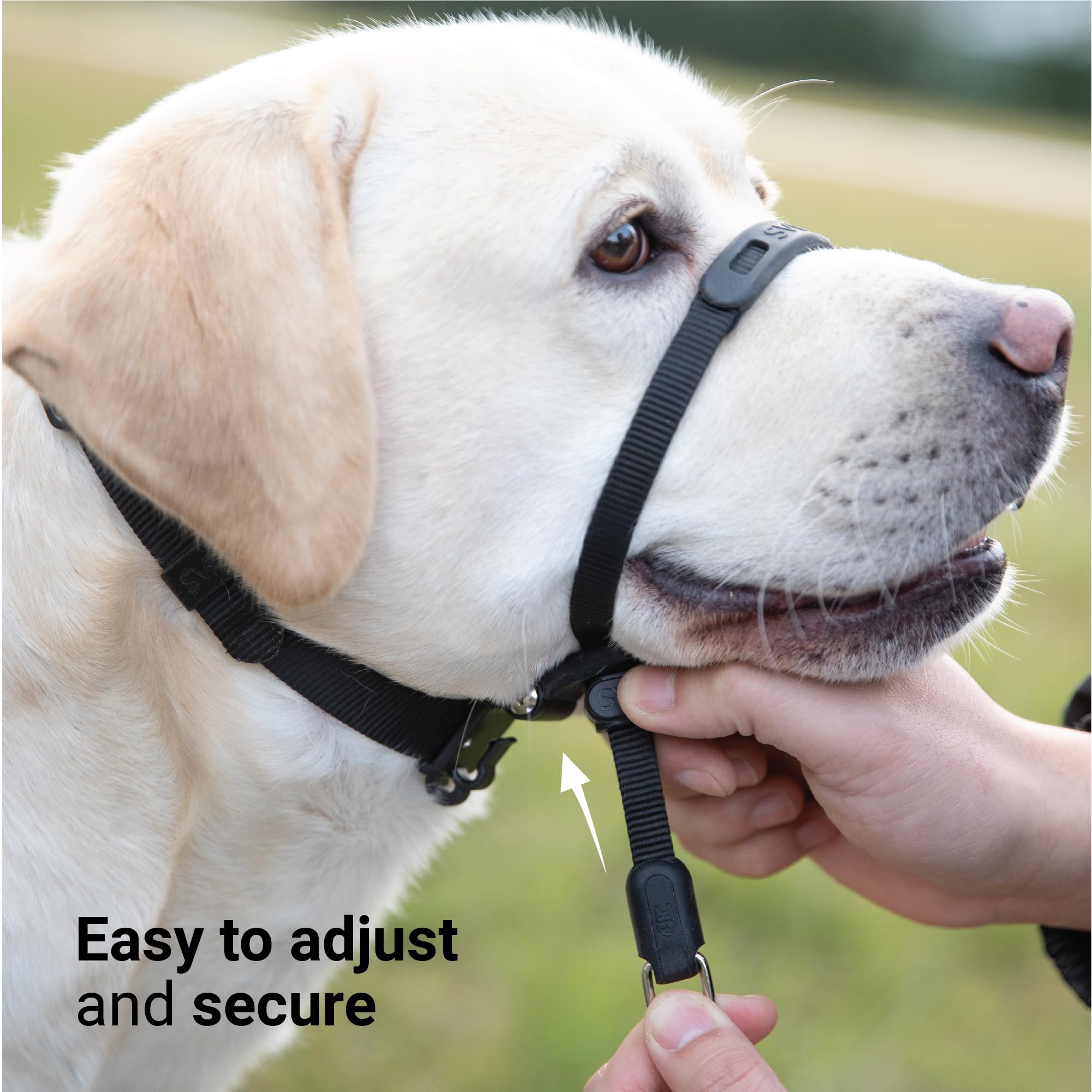 SVD.PET No-Pull Dog Headcollar, Chew-Proof, Medium Size (12-20 in), Pink, Easy to Wear and Adjust, Model: HeadCollar_M_Pink