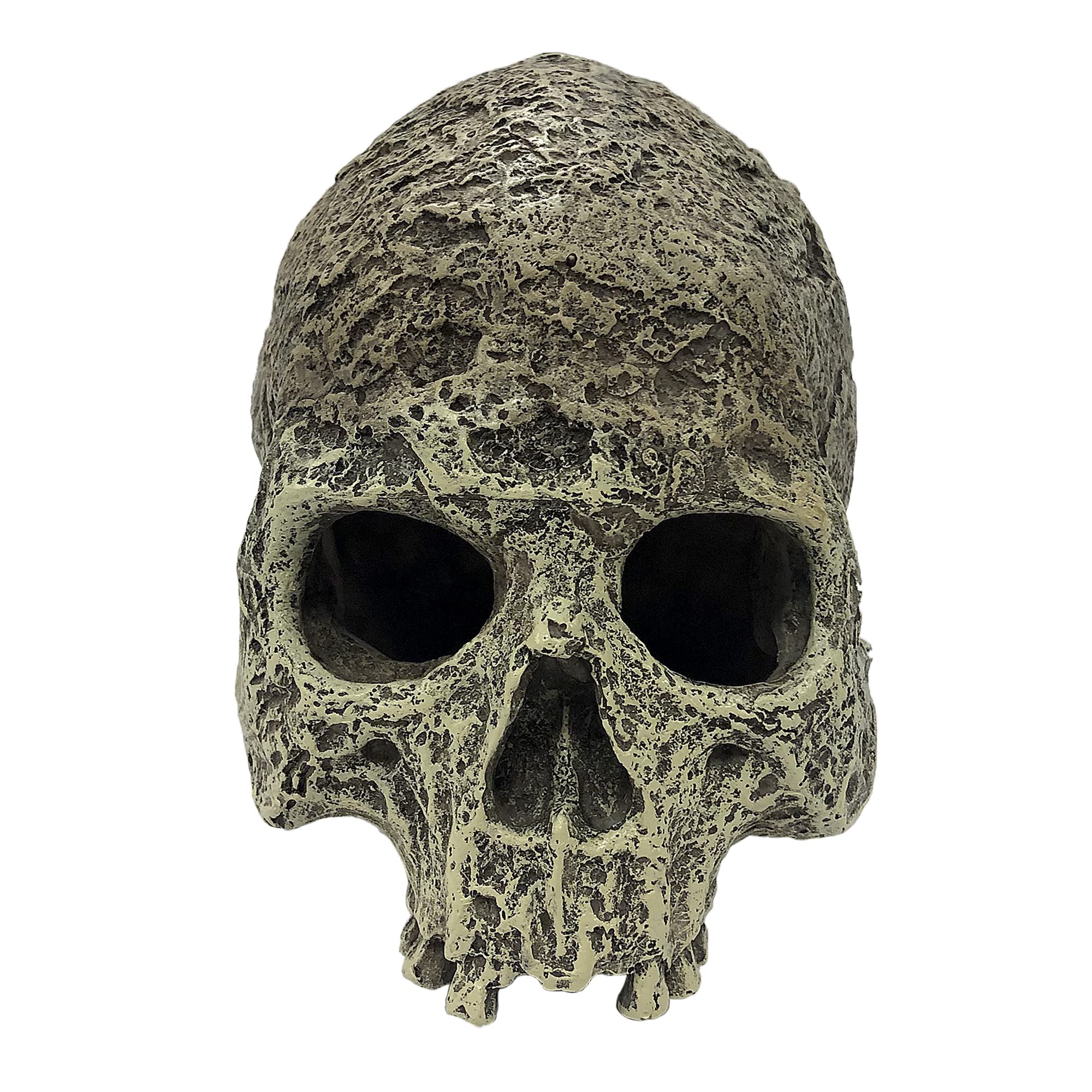 Komodo Reptile Terrarium Realistic Textured Human Skull Ornament Decor | Easy To Clean Under Water Aquarium Or Dry Habitat Decor