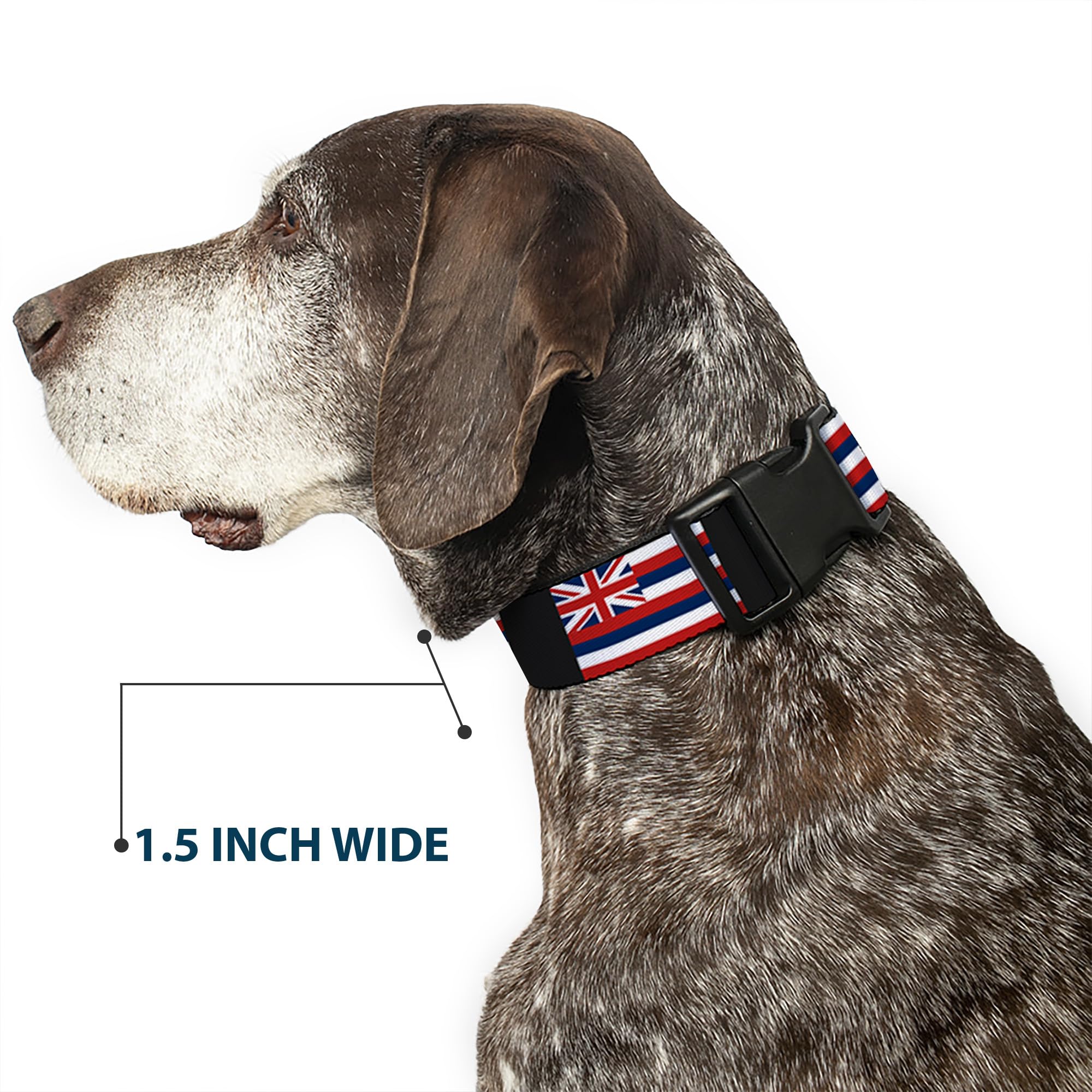 Buckle-Down Plastic Clip Collar - Hawaii Flags - 1.5 Wide - Fits 13-18 Neck - Small