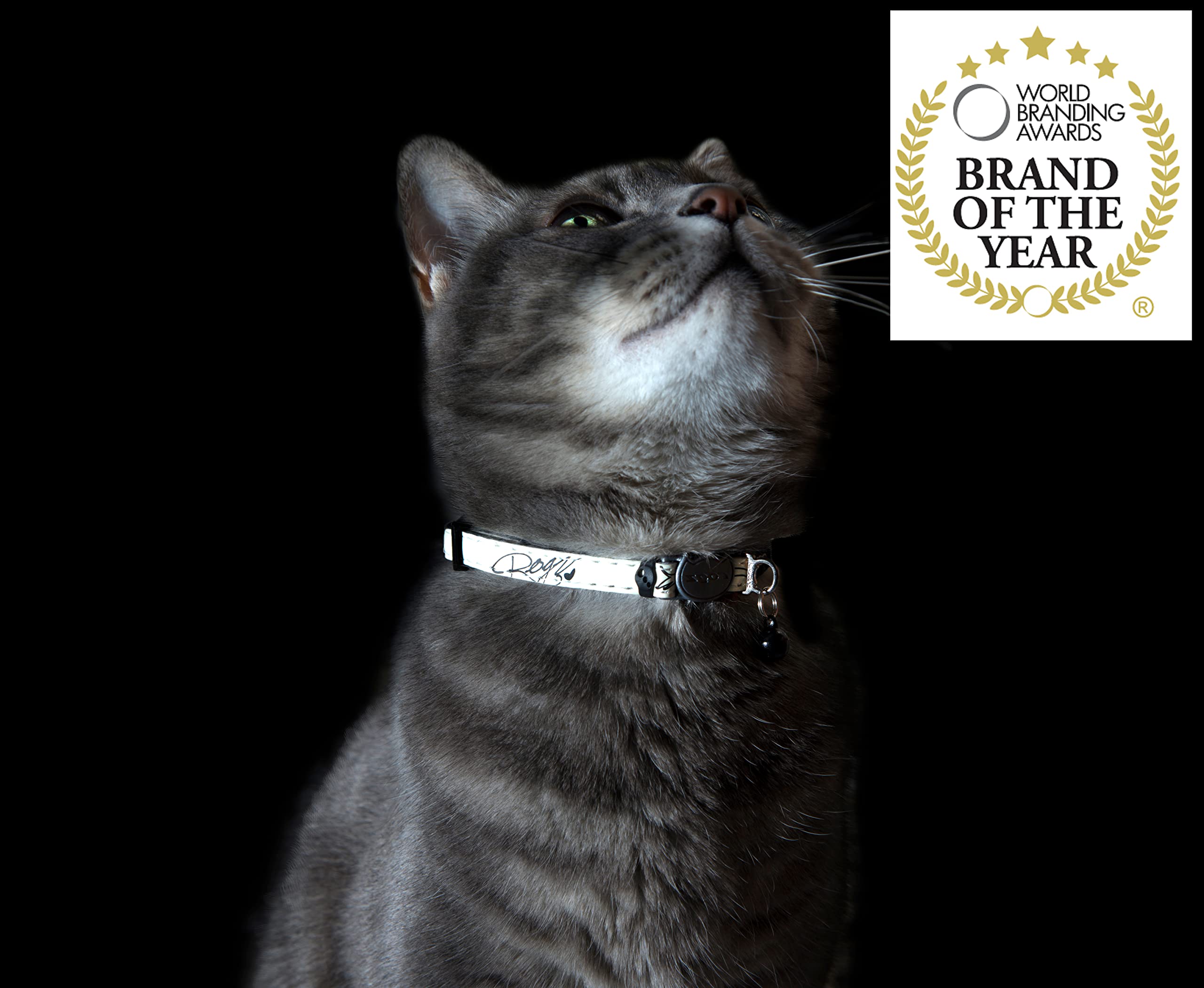 Rogz Reflective Cat Collar - Glow in the Dark, Breakaway Clip, Adjustable Size S (8"-12"), Nylon, Black, Model CB09-A