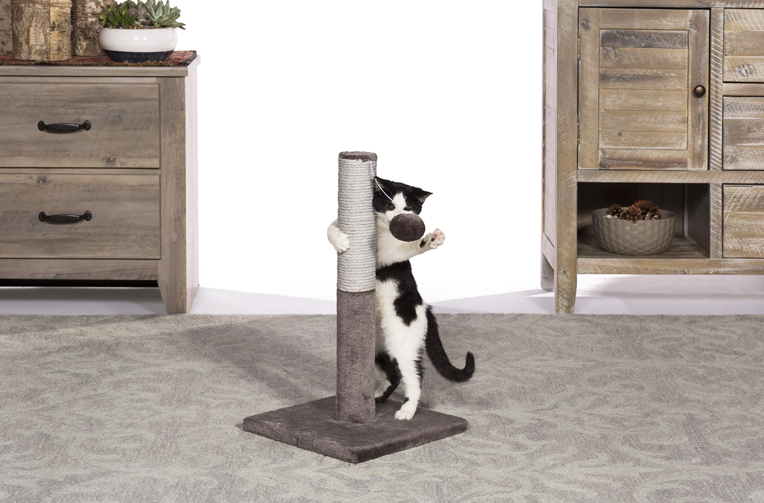 Prevue Pet Products Kitty Power Paws Play & Scratch 7151 - Gray - 11.625x11.625x20.5