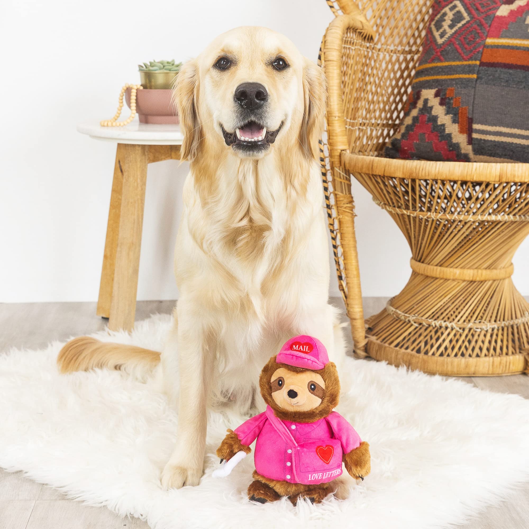 Fringe Studio Plush Dog Toy, Love On Delivery, Petshop Collection (314105)
