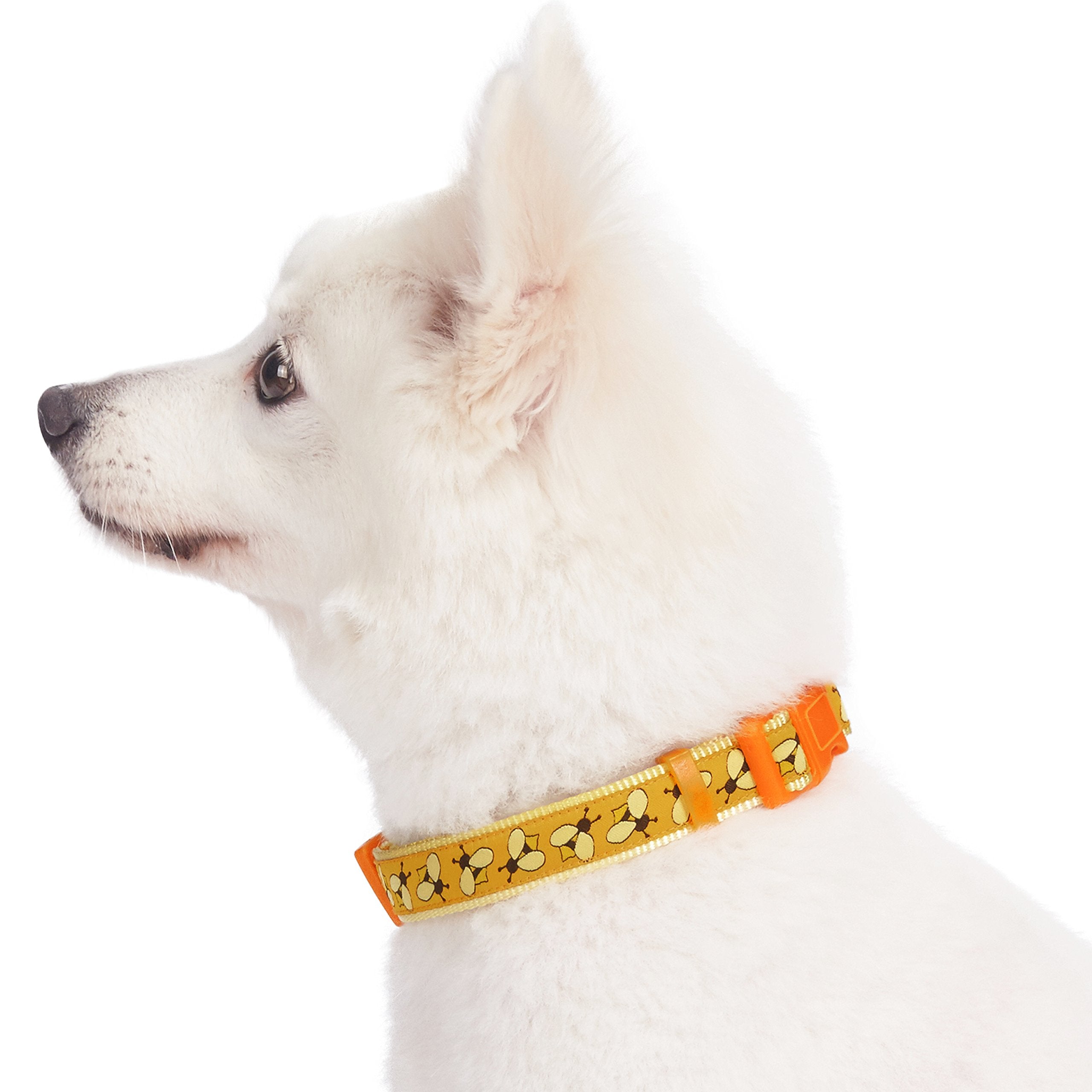 Blueberry Pet Essentials 10 Patterns Statement Busy Bees Designer Adjustable Dog Collar, Medium, Neck 14.5'-20'