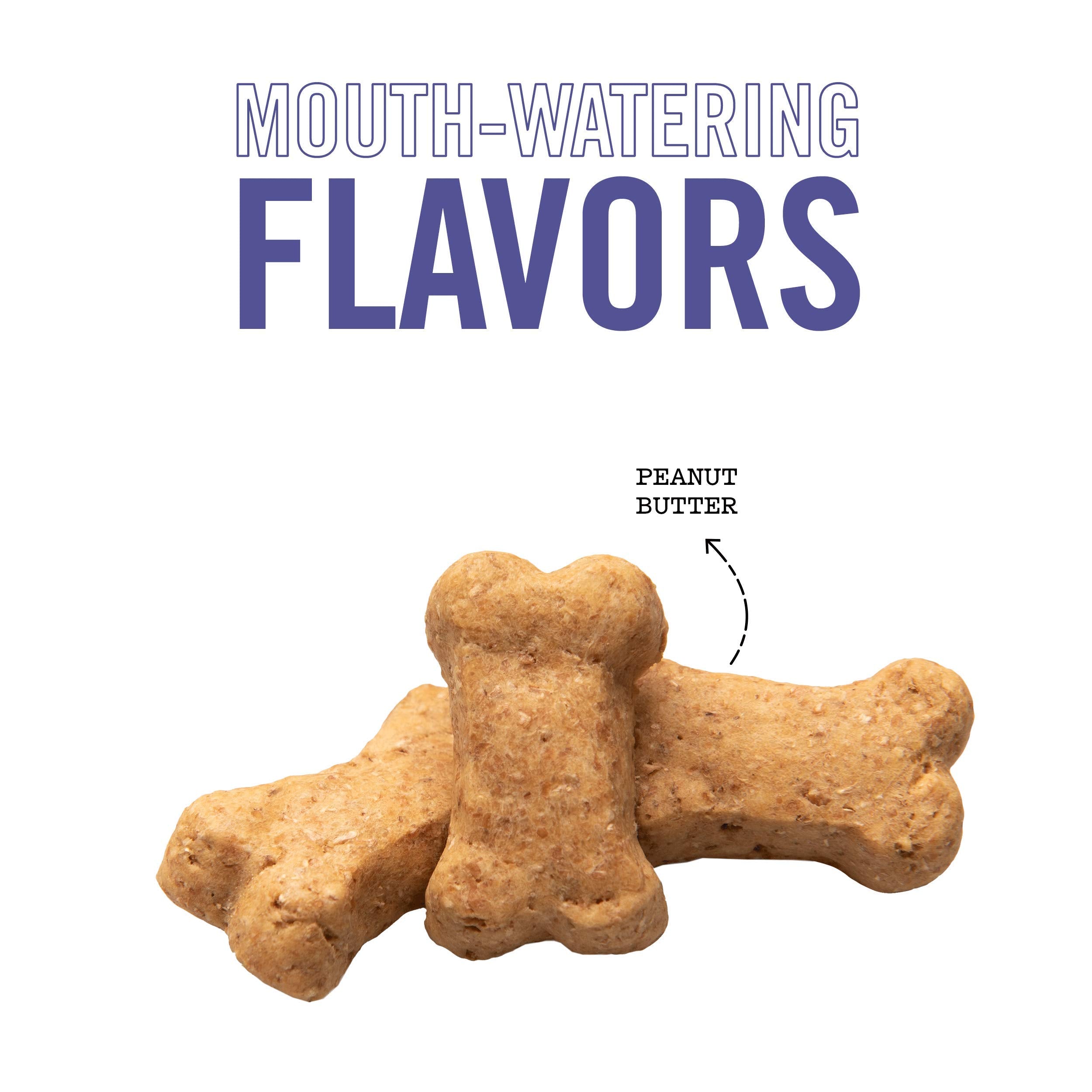 Three Dog Bakery Crunchy Itty Bitty Bones, Peanut Butter Flavor, Premium Treats for Dogs, 13 Ounce Box