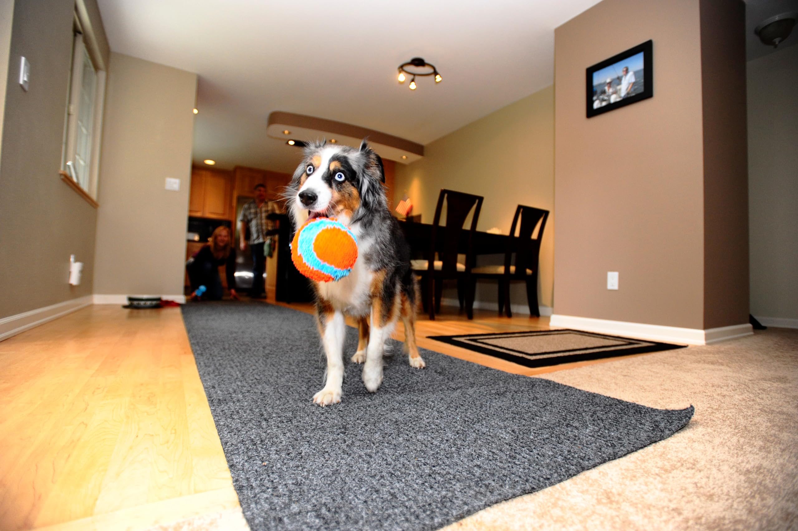 Chuckit! Indoor Fetch Ball Dog Toy For Dogs - Interactive Dog Toys For Boredom, 4.75 Inch, Orange And Blue