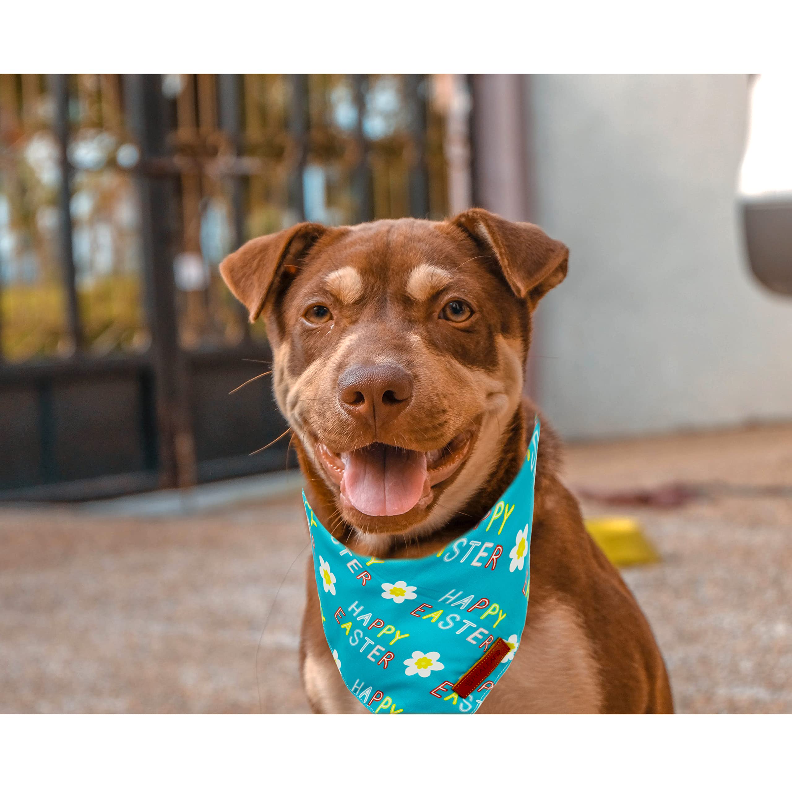 Realeaf Happy Easter Dog Bandanas 2 Pack, Reversible Pet Scarf For Boy And Girl, Premium Durable Fabric, Holiday Bandana For Small Medium Large And Extra Large Dogs (X-Large)