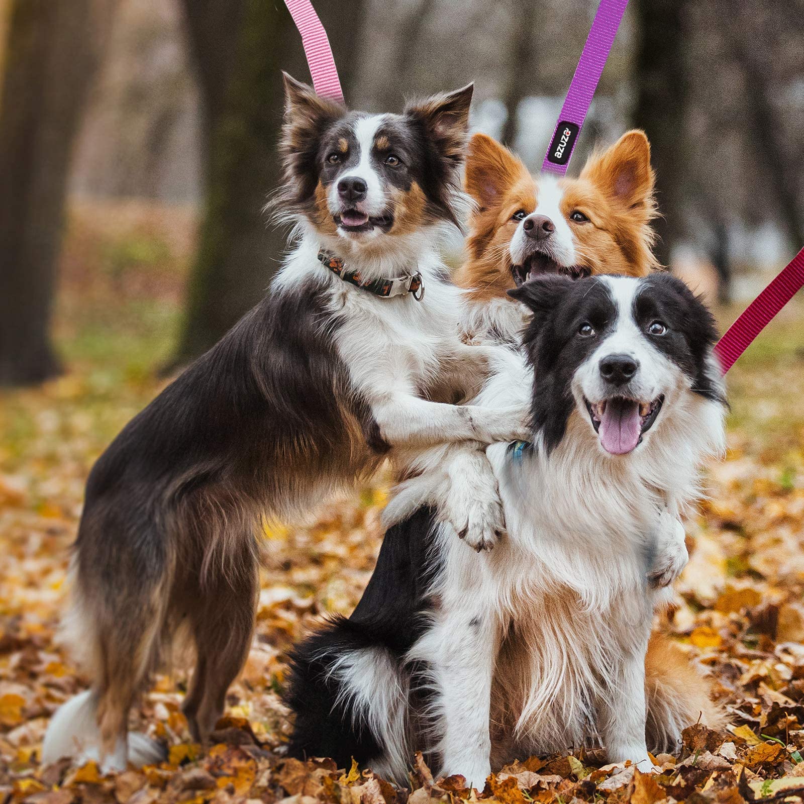 Azuza 3 Pack Nylon Dog Leashes,Strong & Durable Basic Style Leash With Easy To Use Collar Hook,Available In Multiple Lengths For