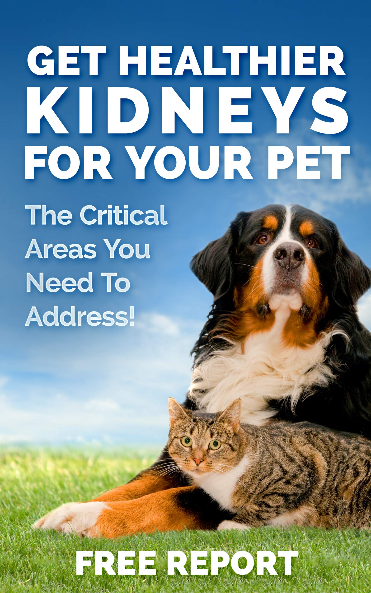 Kidney Support, Natural Renal Supplements to Support Pets, Feline, Canine Healthy Kidney Function and Urinary Track. Essential f