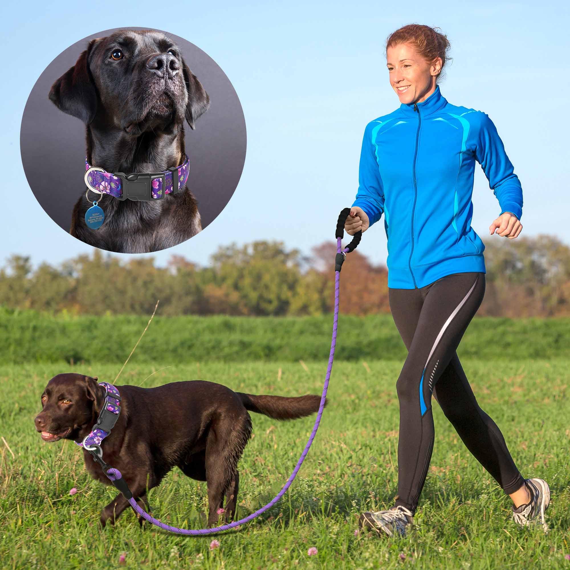 Ladoogo Reflective Dog Collar Padded With Soft Neoprene Breathable Adjustable Nylon Dog Collars For Small Medium Large Dogs (Small (Pack Of 1), Purple/Pink Floral Collar+Leash)