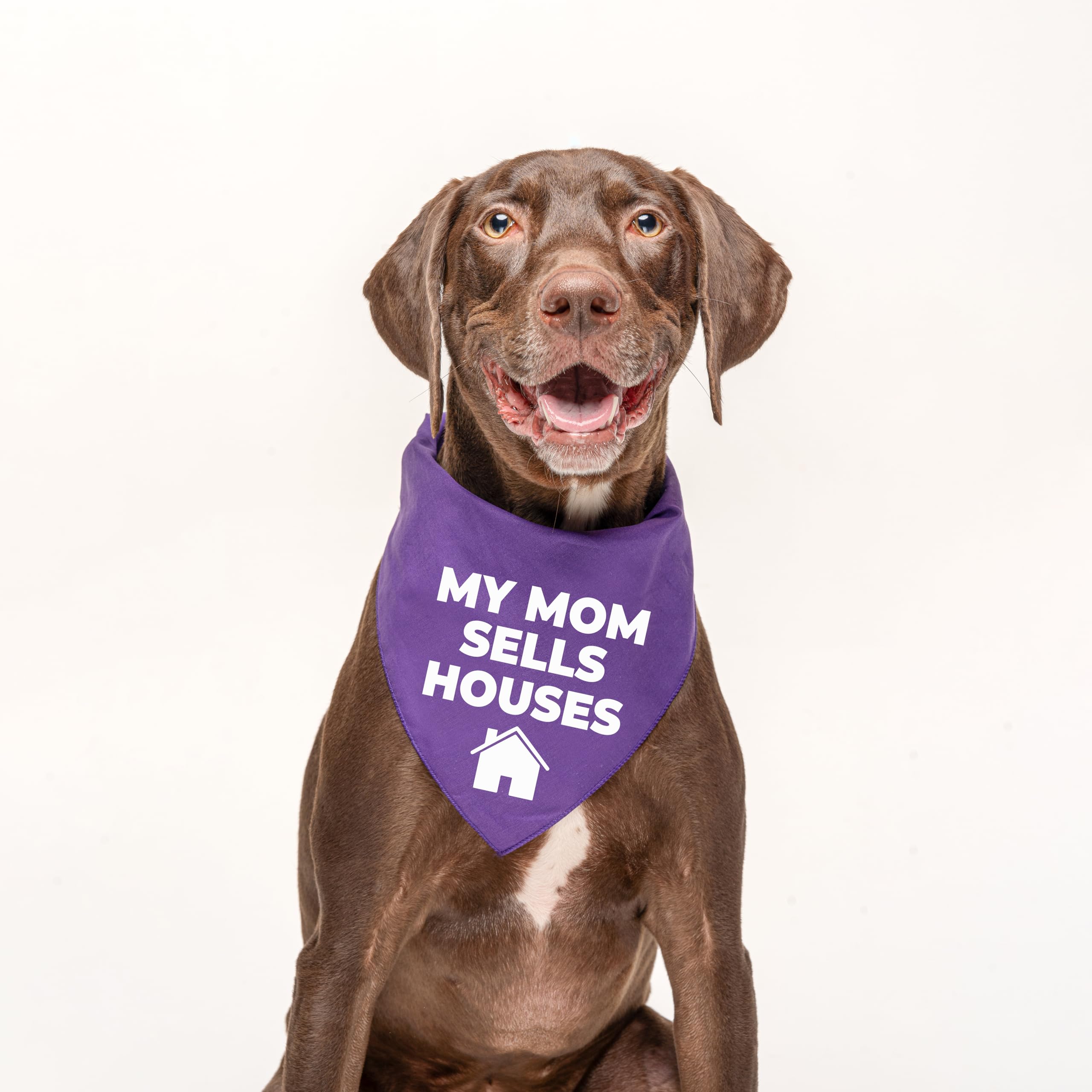 My Mom Sells Houses Real Estate, Realtor Dog Bandana (Turquoise, Os 18)