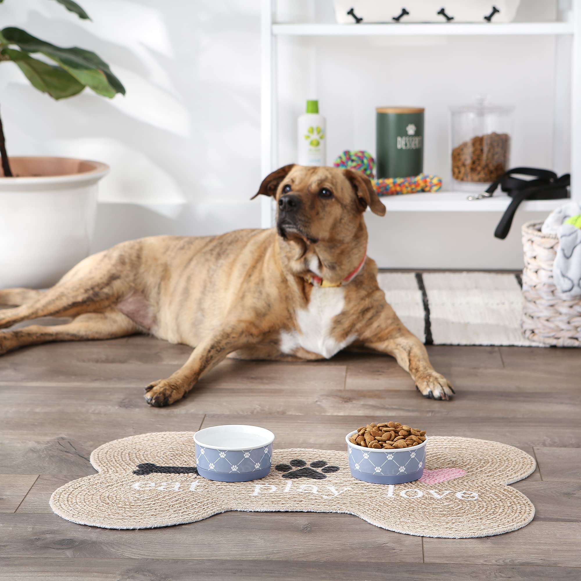 DII Pet Bowl Trellis Paw Stonewash Blue Small 4.25Dx2H (Set of 2)