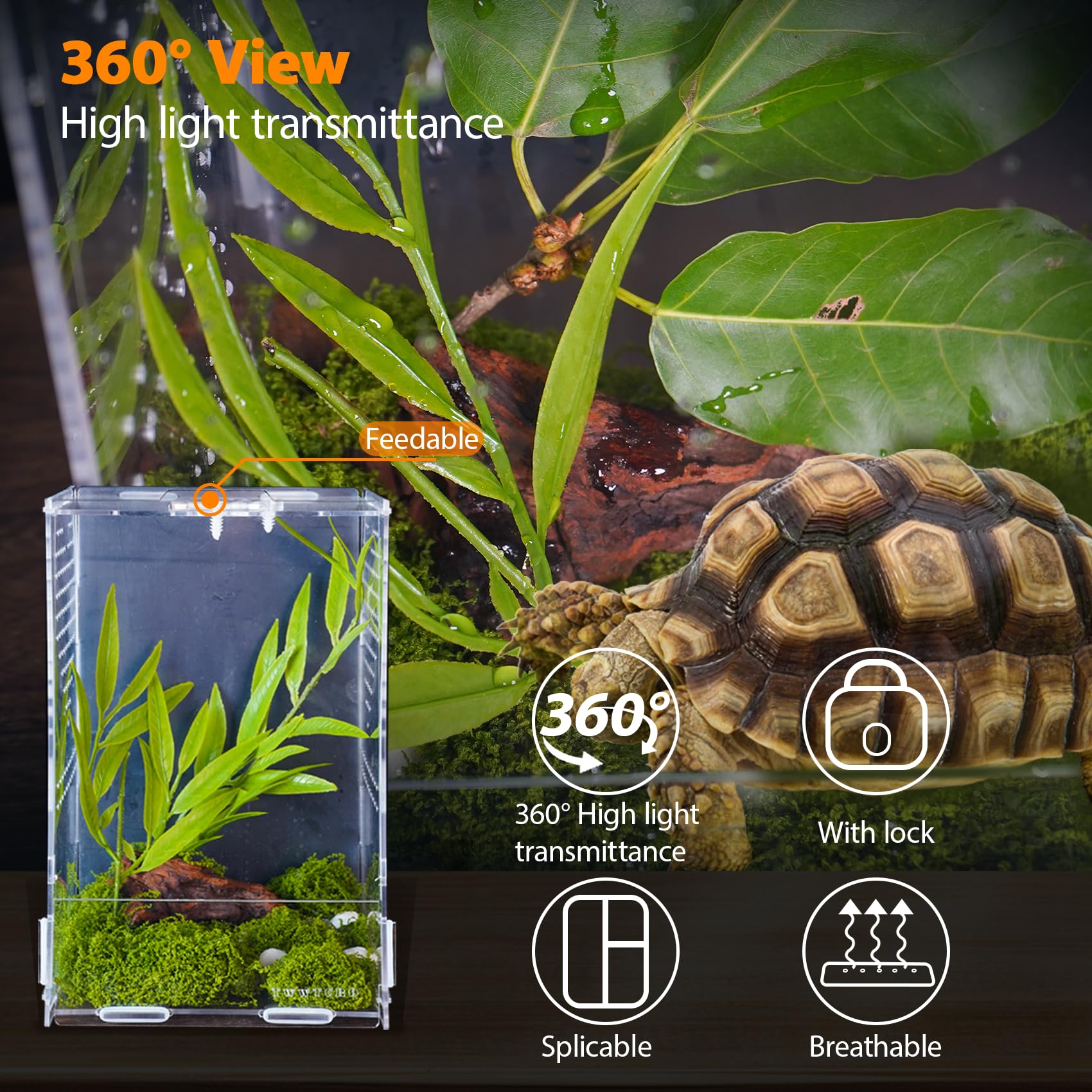 Jumping Spider Enclosure, Acrylic Insect Terrarium, Bug Enclosure, Reptile Cage, Mantis Habitat, Arboreal Tarantula Enclosure, S