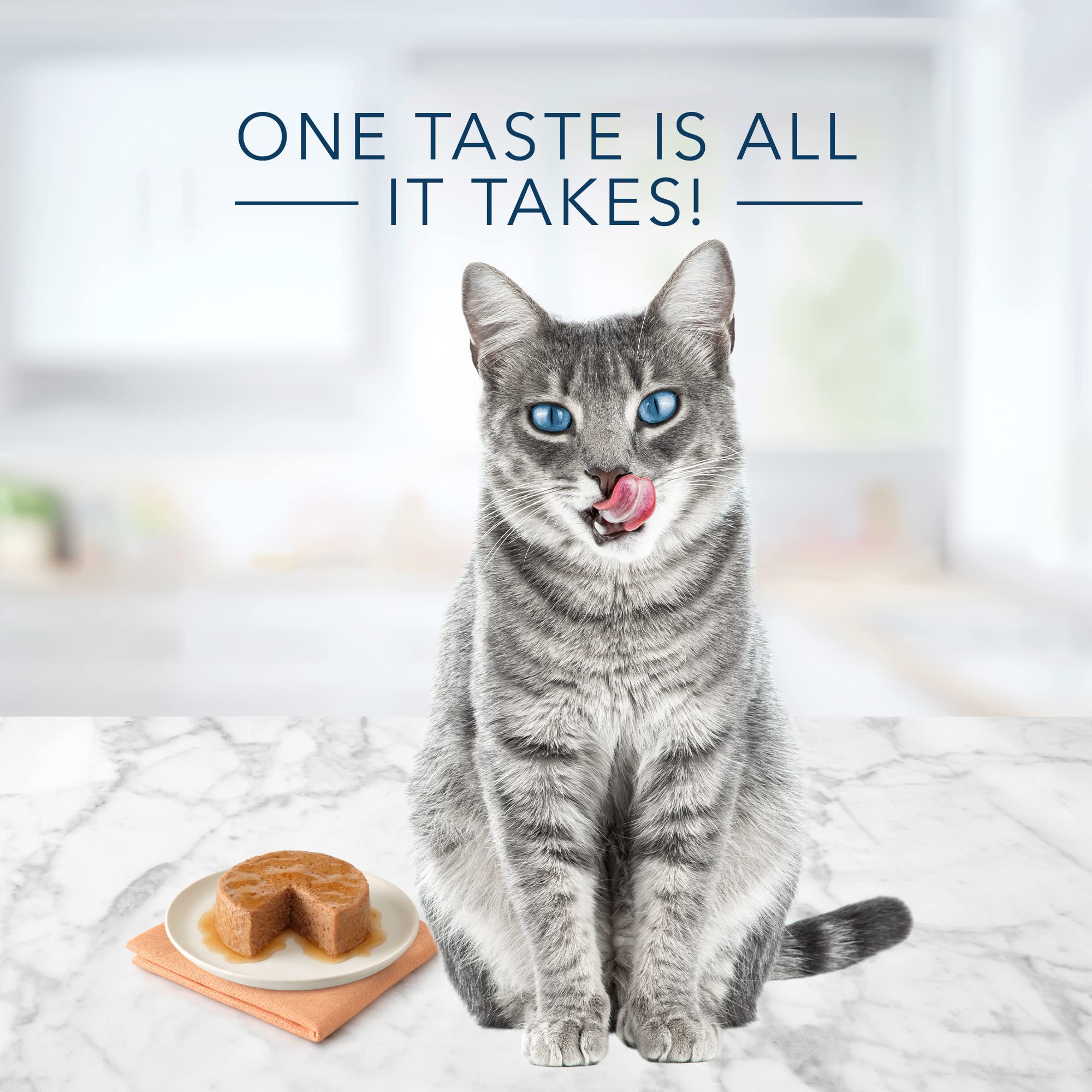 Blue Buffalo Tastefuls Wet Cat Food Pat  , Made with Natural Ingredients | Salmon Entr  e, 3-oz. Cans (24 Count)