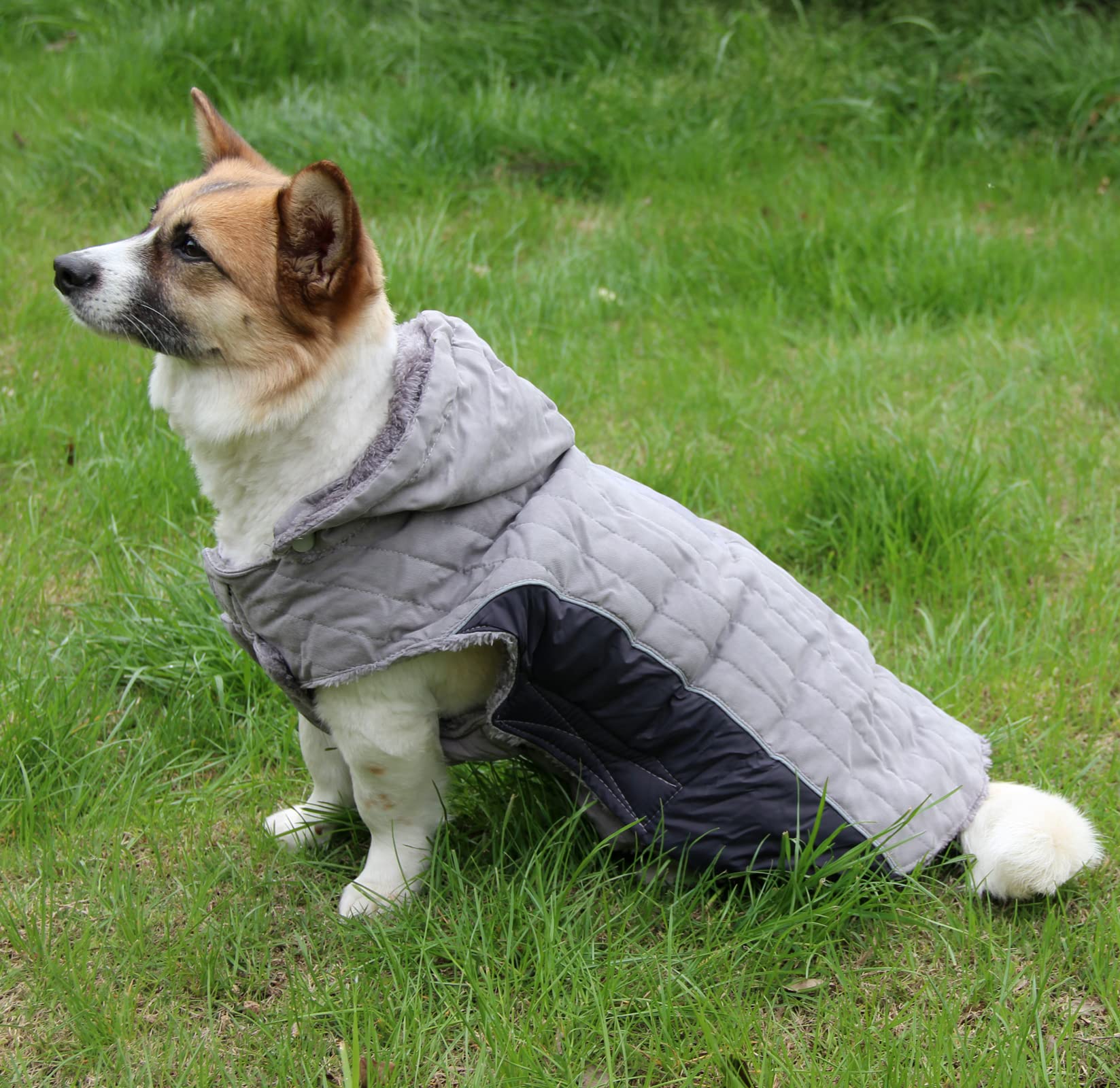 Joydaog Fleece Dog Hoodie For Small Dogs Super Warm Puppy Jacket For Cold Winter Dog Coats,Grey S