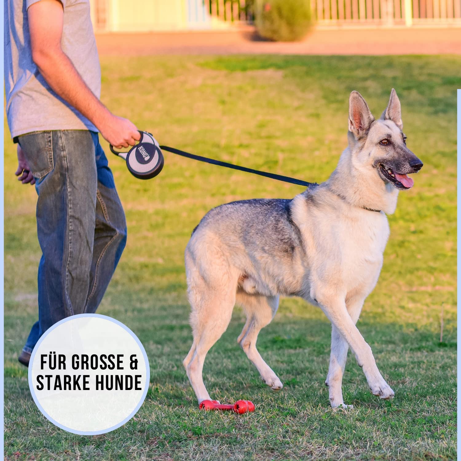 KONG Alcott Kong Ultimate Retractable Dog Leash - X-Large 16', Red, Nylon, Model KNG ULT XL RD