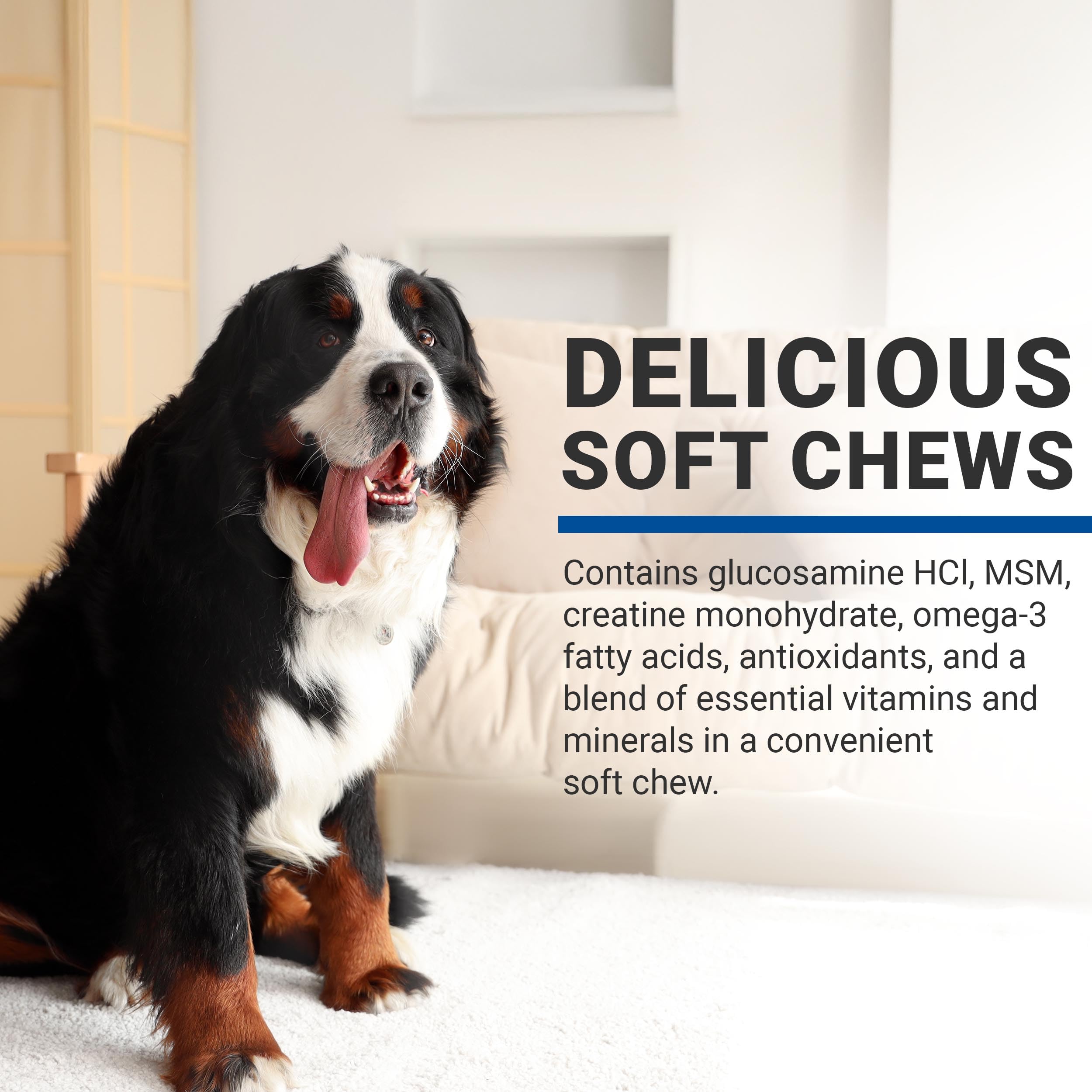 CLASSIC VPS SynovialMax Hip & Joint Soft Chews for Dogs, 120 Count, Supports Joint Health