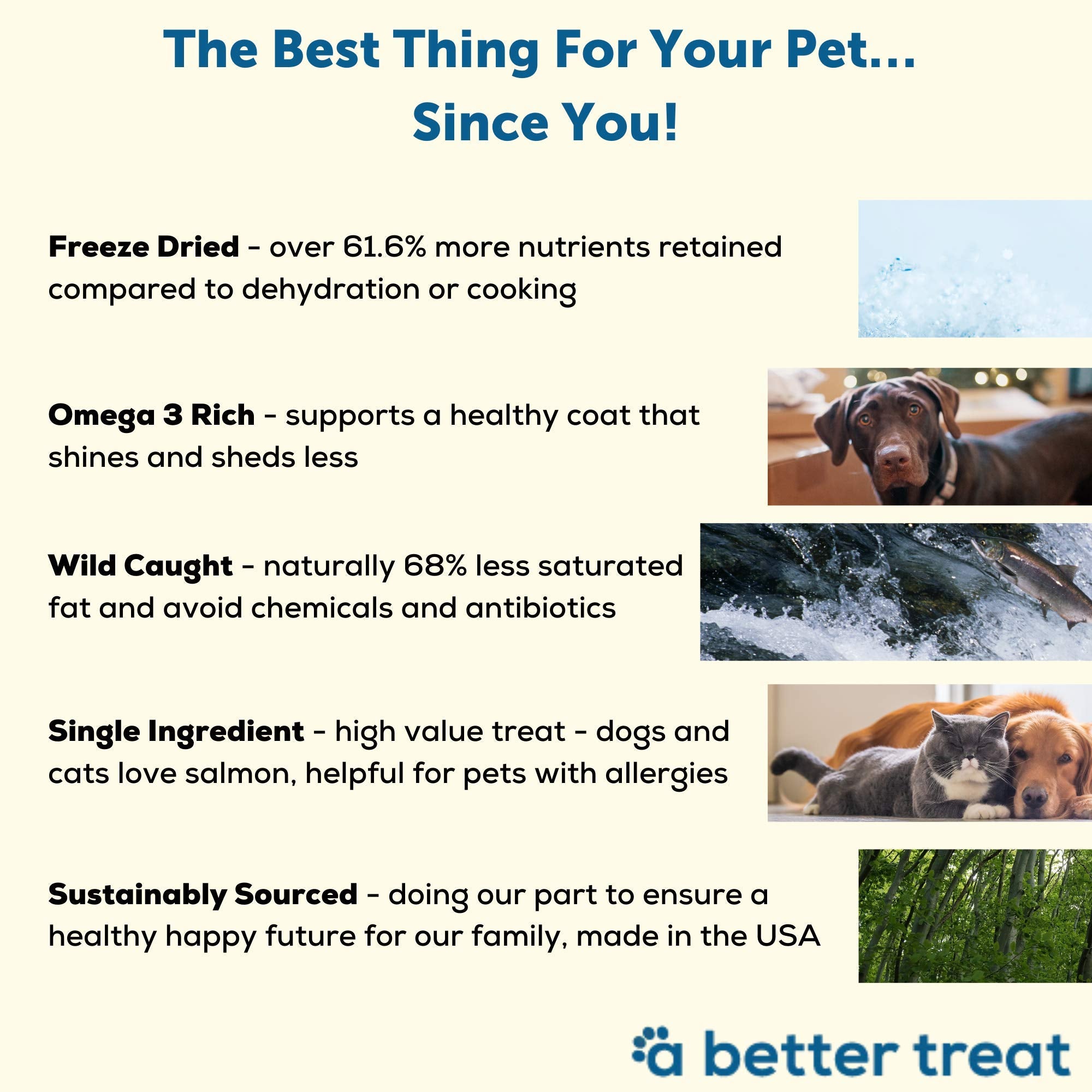 A Better Treat - Freeze Dried Salmon Dog Treats, Wild Caught, Single Ingredient | Natural High Value | Gluten Free, Grain Free,