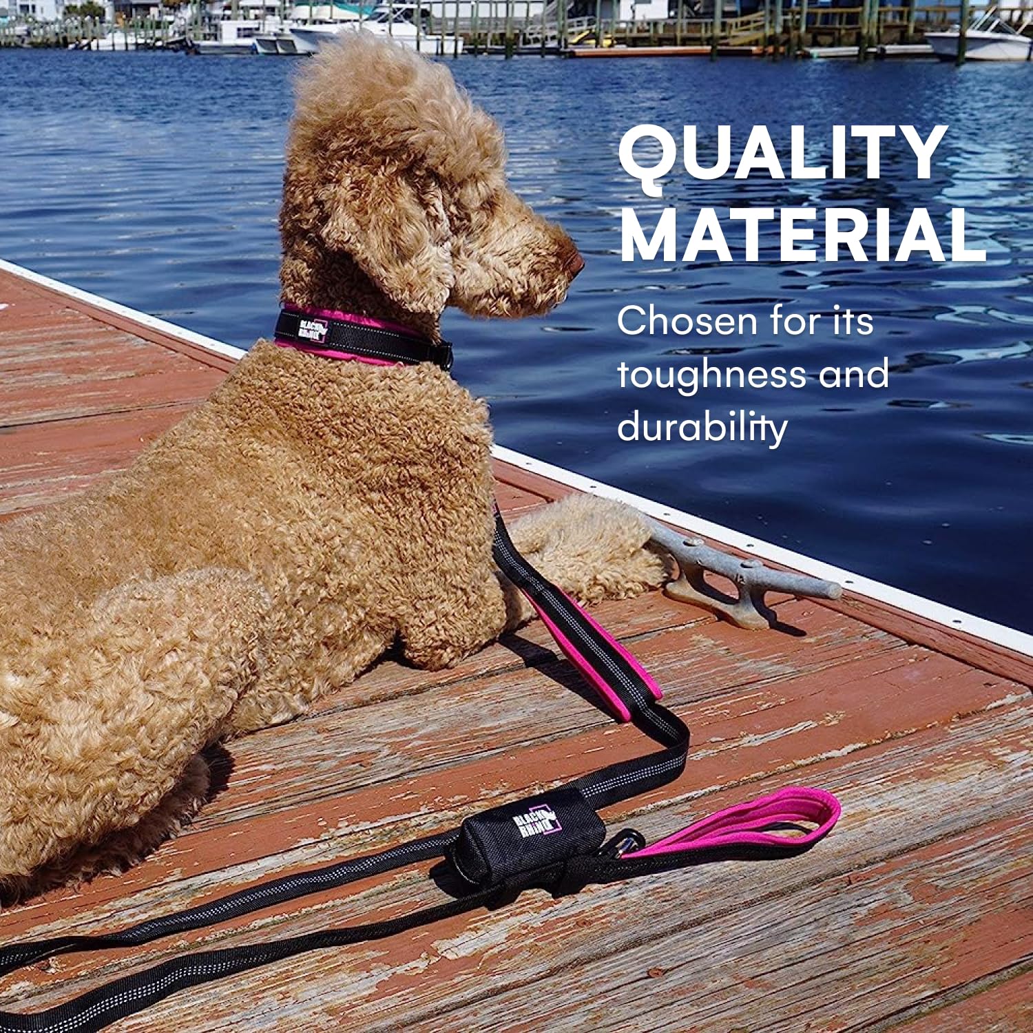 Black Rhino - The Comfort Collar Ultra Soft Neoprene Padded Dog Collar for All Breeds - Heavy Duty Adjustable Reflective Weather
