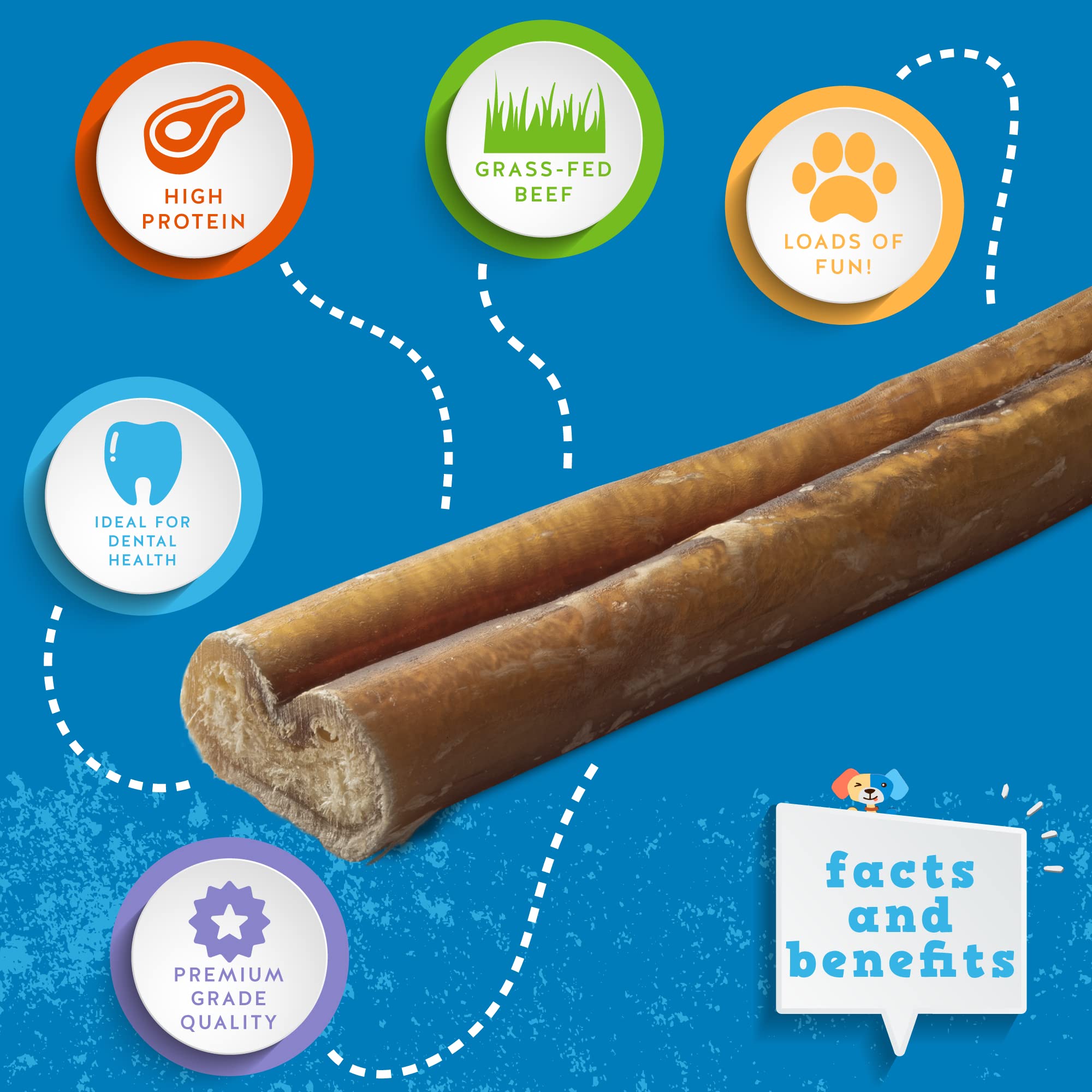 Jack&Pup 6 Bully Sticks Dog Chews | Odor Free Bully Sticks | Single Ingredient, All Natural Pizzle Sticks for Dogs (6oz, 10/12 S