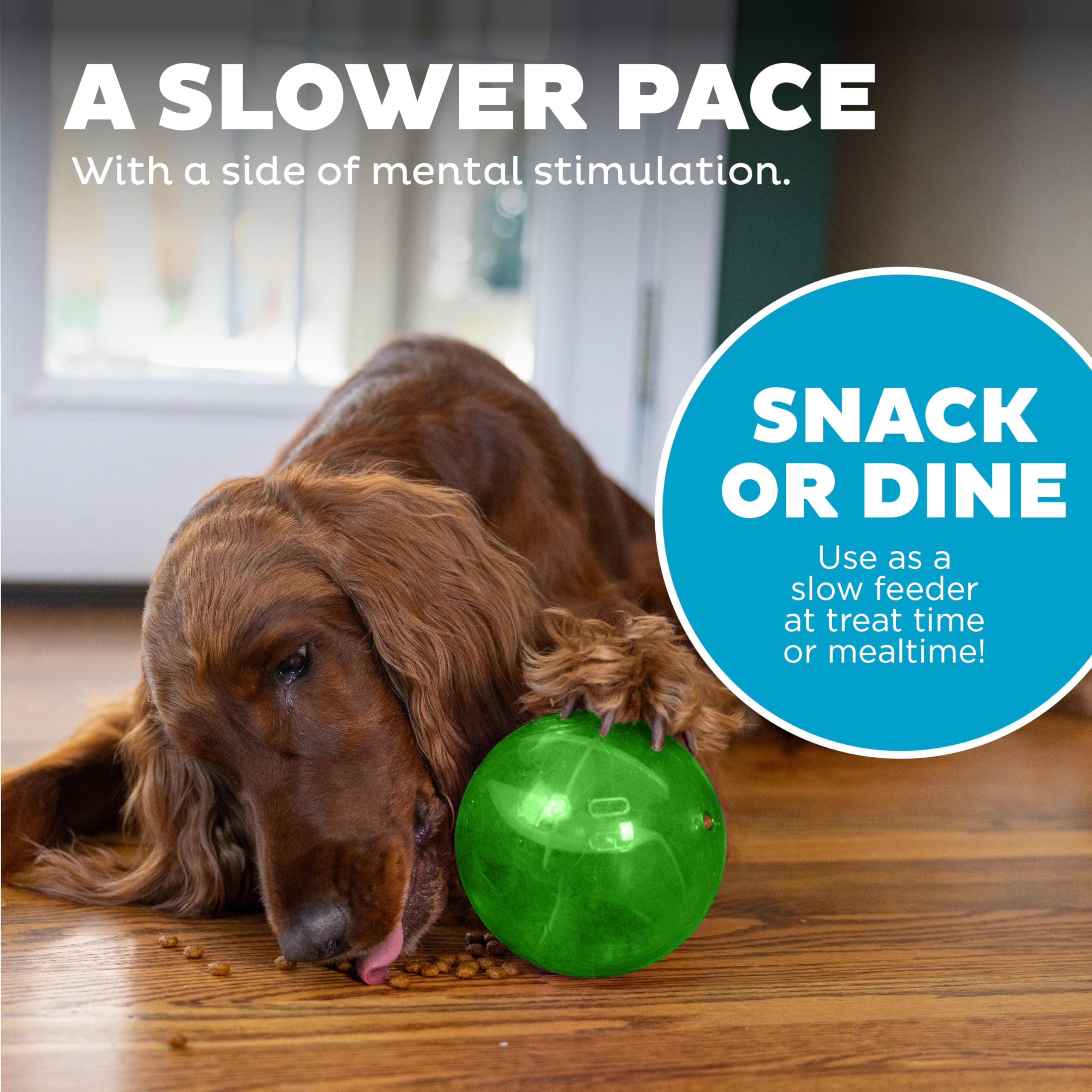 Outward Hound By Planet Dog Mazee Puzzle Ball Interactive Treat Dispensing Dog Toy, Green