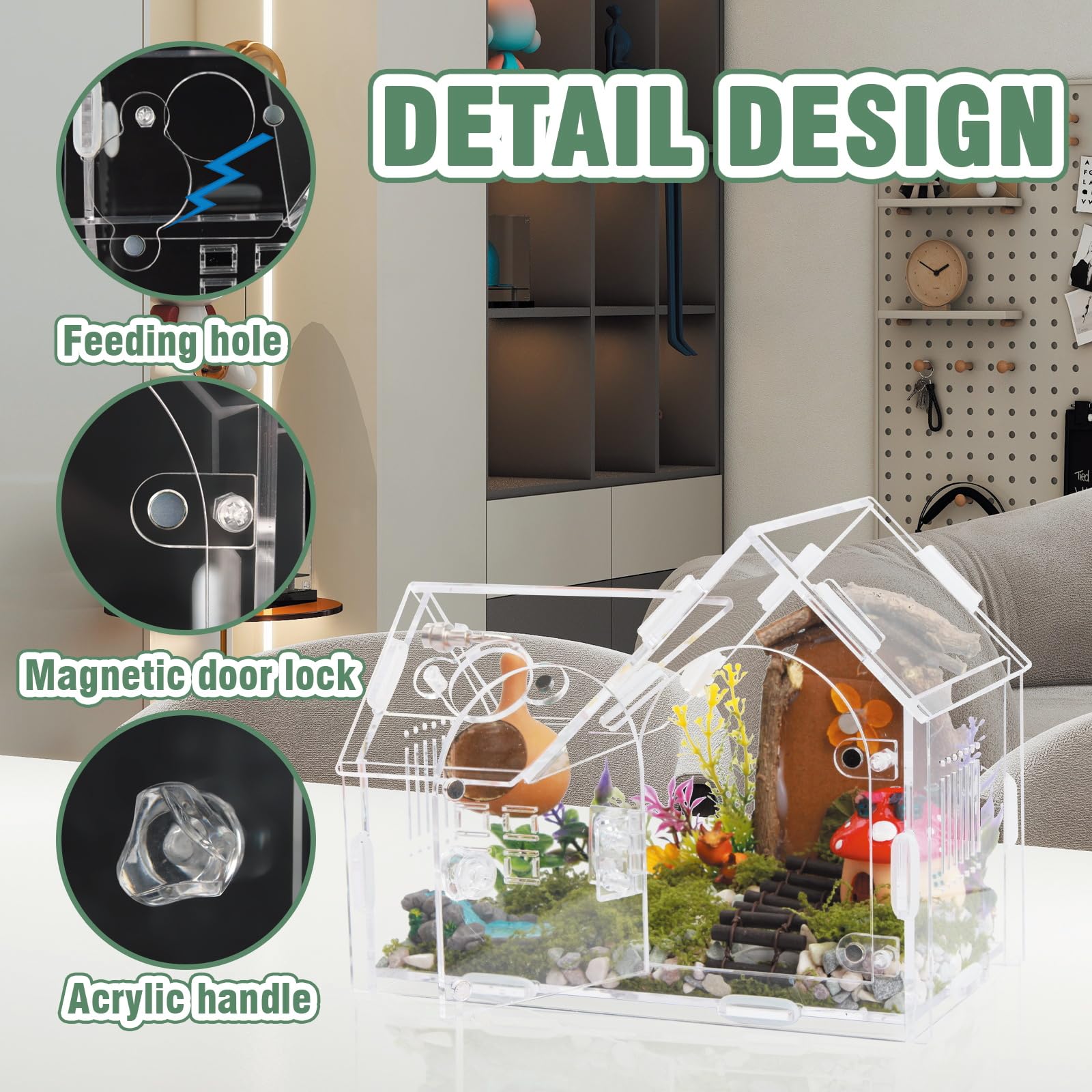 Acrylic Jumping Spider Enclosure with Magnetic Door - Transparent Tarantula Terrarium for Pet Spiders - Secure & Ventilated Rept