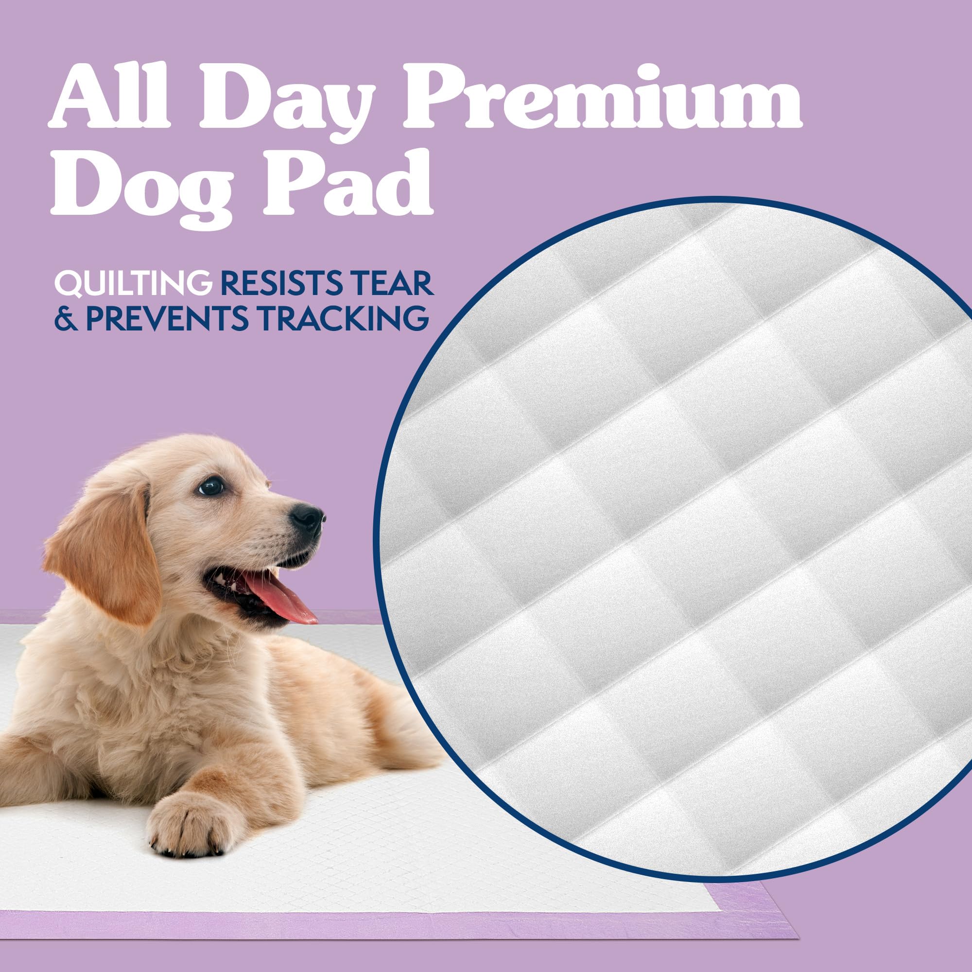 Simple Solution XL Disposable Dog Pee Pads, 6-Layer Absorbent, Leak Proof, Lavender Scent, 23"x24", 100 Count