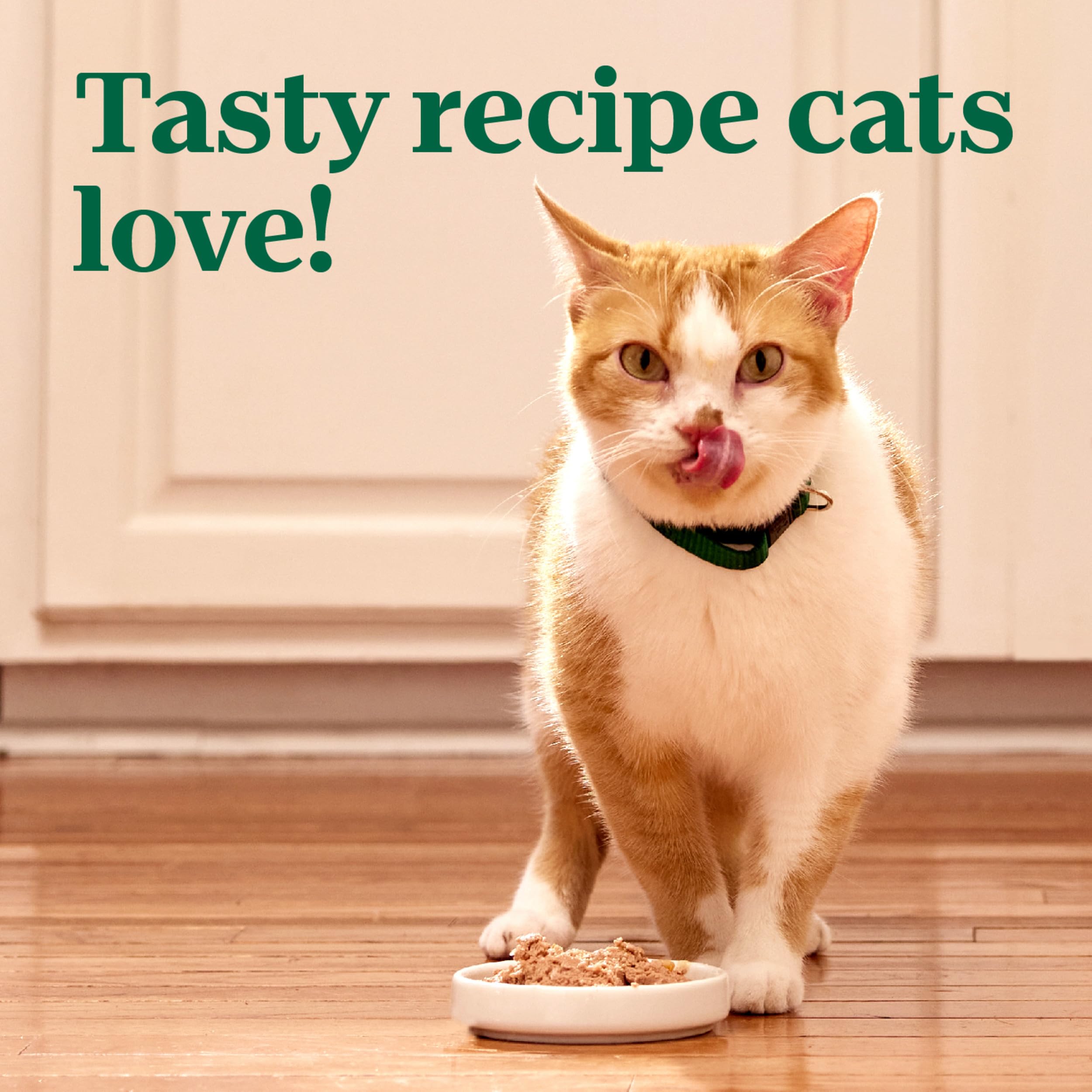Nutro Perfect Portions Wet Cat Food Pat   Salmon & Chicken Recipe, 2.64 oz. Twin-Pack Trays (24 Count, Pack of 1)