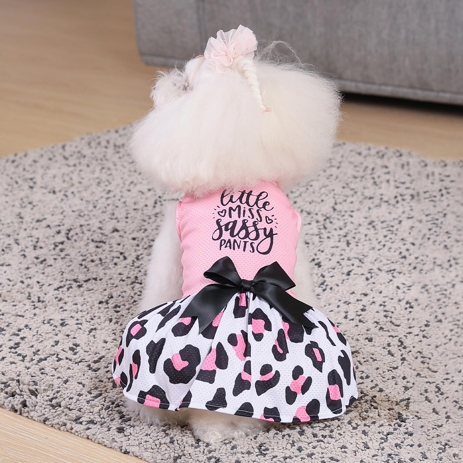 Cutebone Dog Mesh Dress Puppy Sundress Pet Outfit Summer Fashion For Small Dogs Girl Cat Clothes Bf30M-D