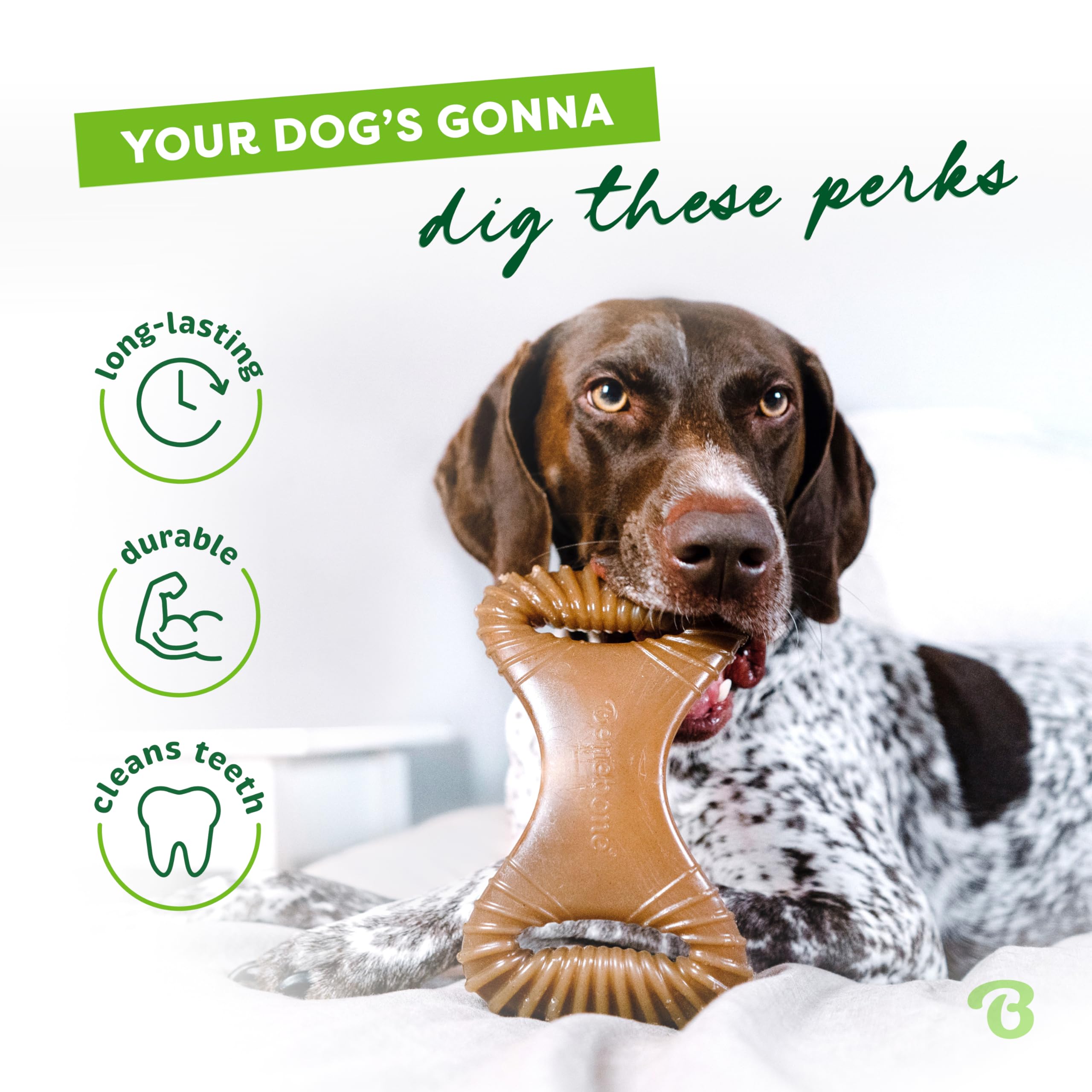 Benebone Dental Durable Dog Chew Toy For Aggressive Chewers, Real Peanut, Made In Usa, Medium