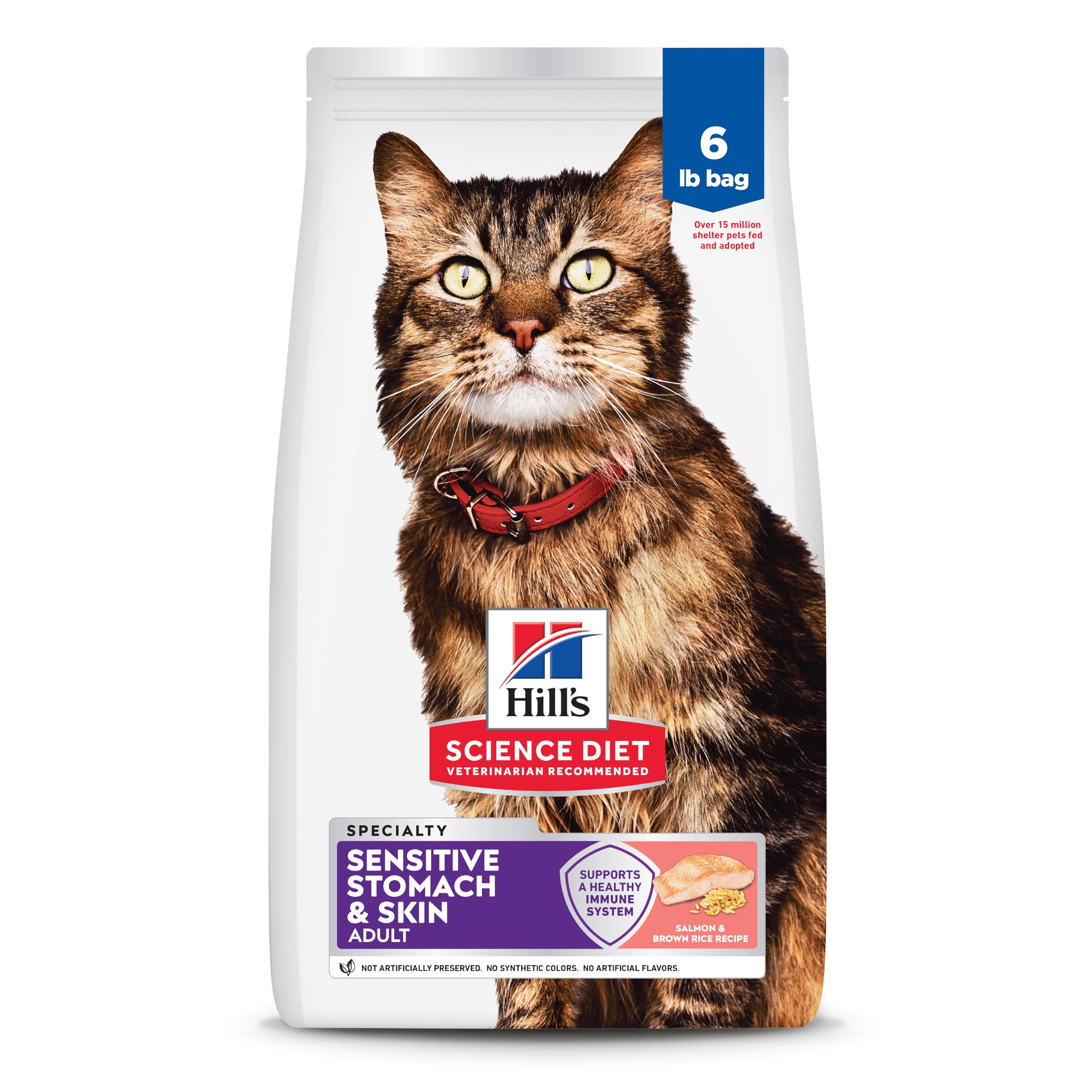 Hills Science Diet Adult 1-6 Sensitive Stomach & Skin Dry Cat Food, Salmon Recipe, 6 lb. Bag