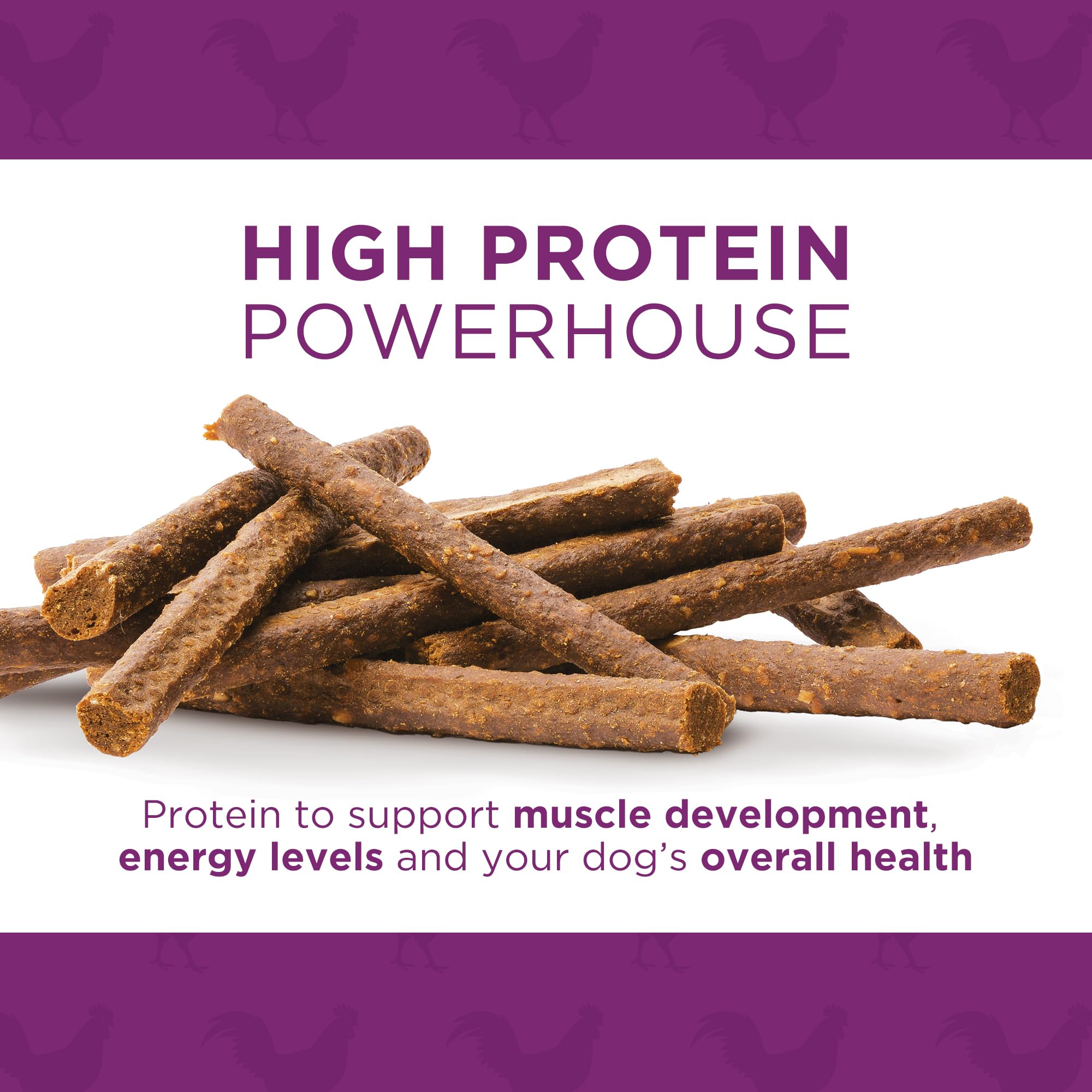 Dog Delights Chewy Chicken Sticks Dog Treats - 2.75 lb - Wholesome Rewards - Made in Canada