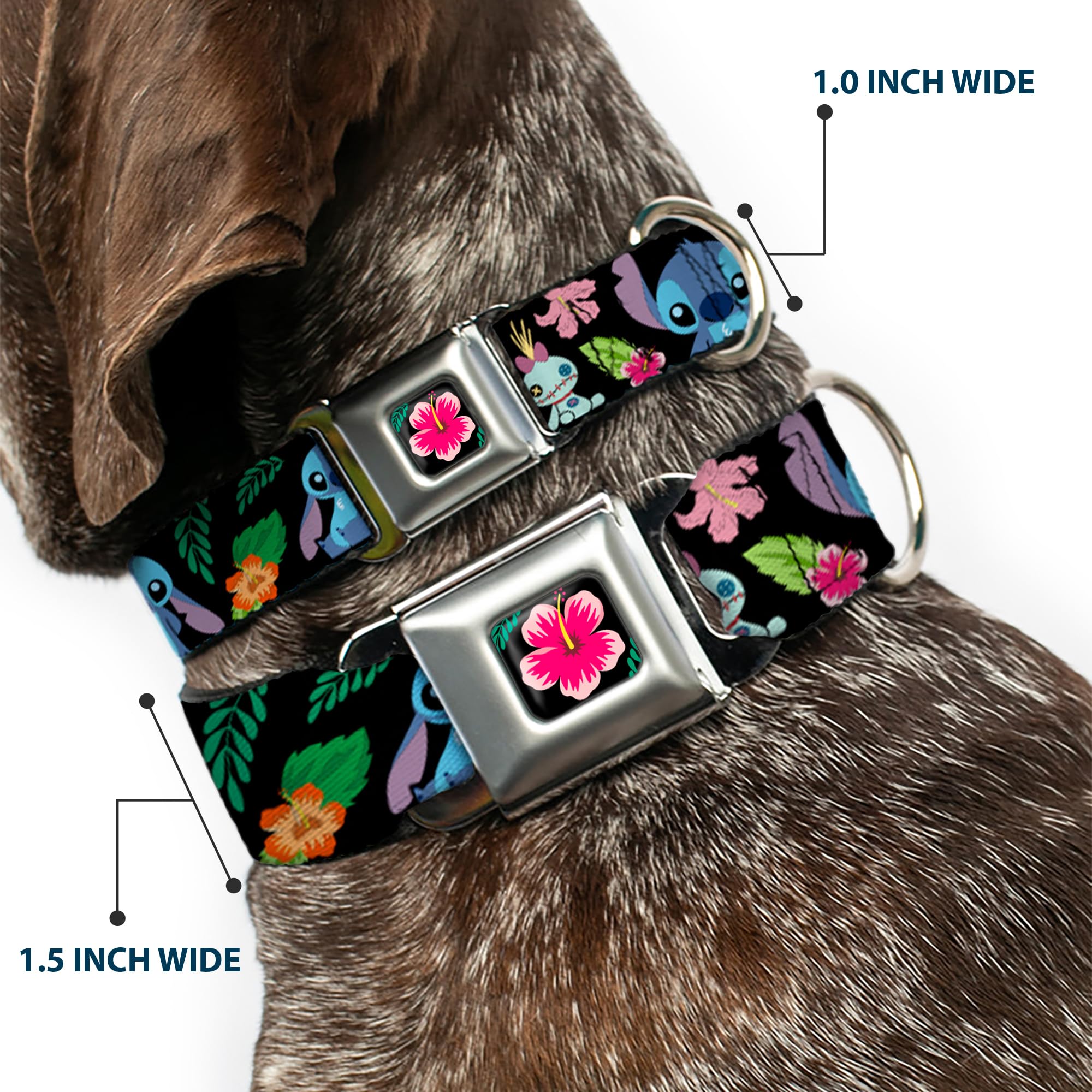 Buckle-Down Lilo & Stitch -Ohana Means Family Dog Collar, Seat Belt Buckle, Black Multicolor