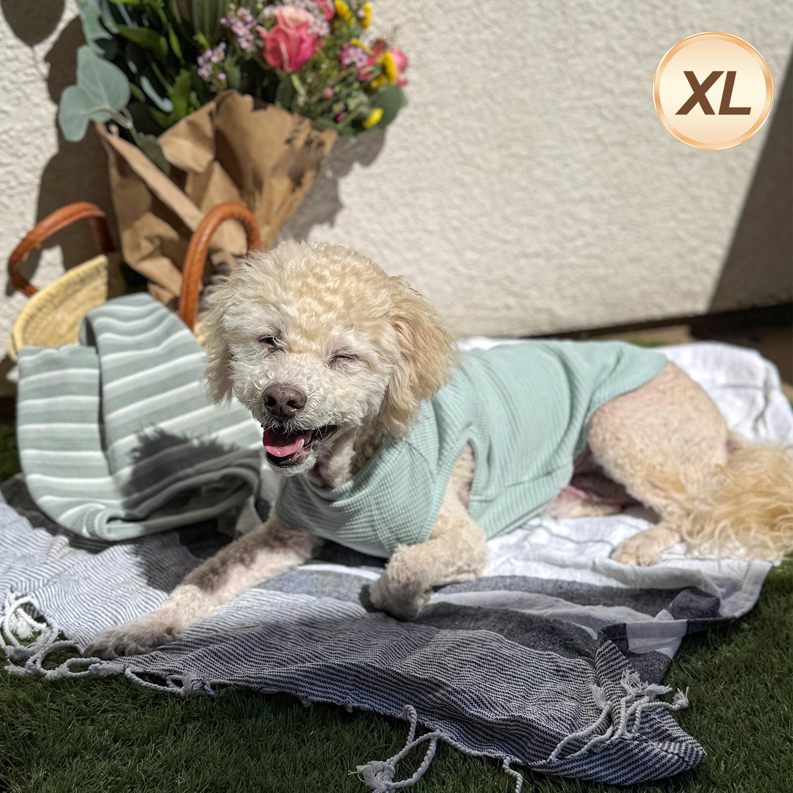 KYEESE Waffle Dog Shirts 2Pack for Small Dogs, X-Large, Lightweight Polycotton, Green+Striped, Sleeveless Tank Tops