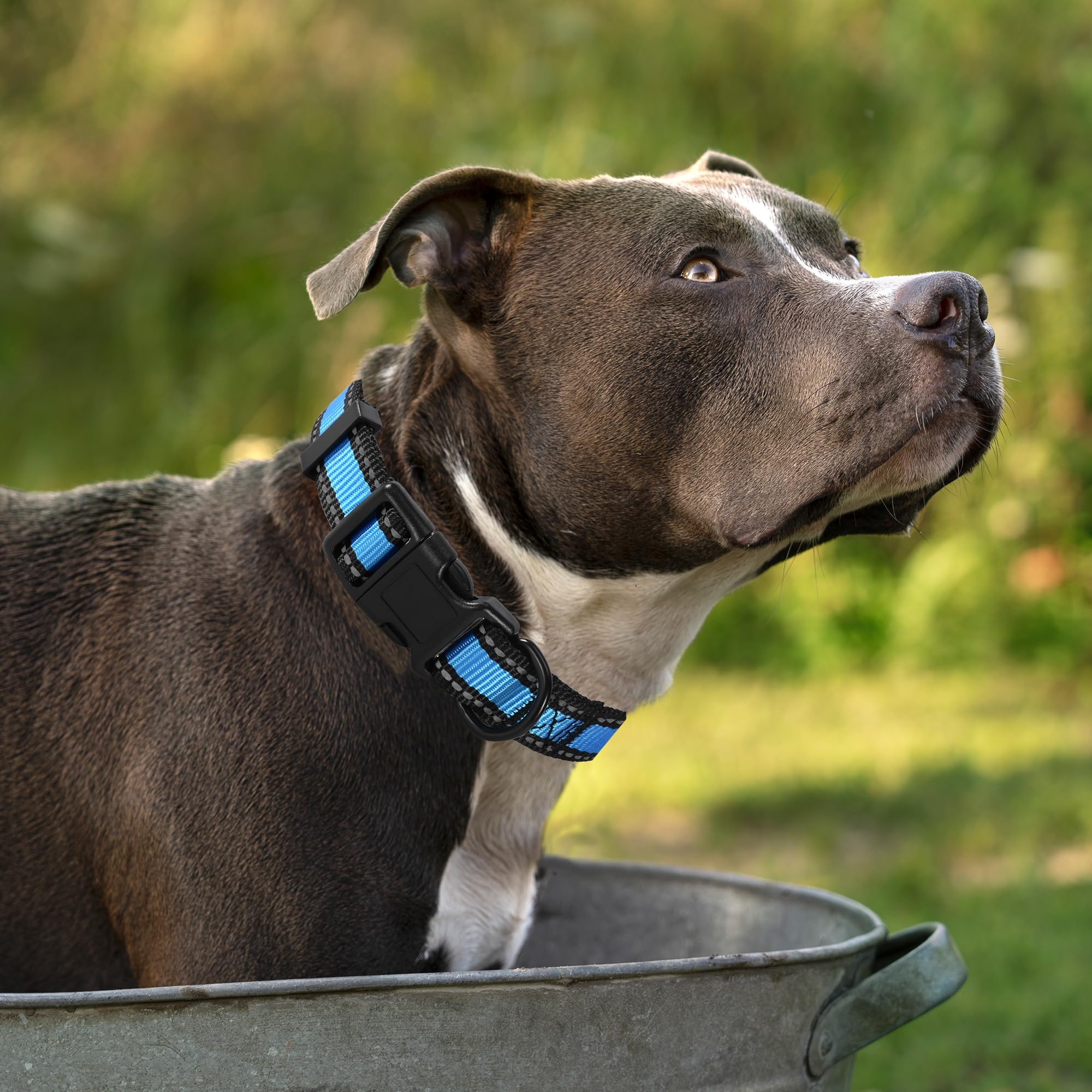 Mile High Life Dog Collar | Nylon Reflective Dog Collars | Light Weight Puppy Collars | Blue Dog Collars For Medium Dogs (Blue,