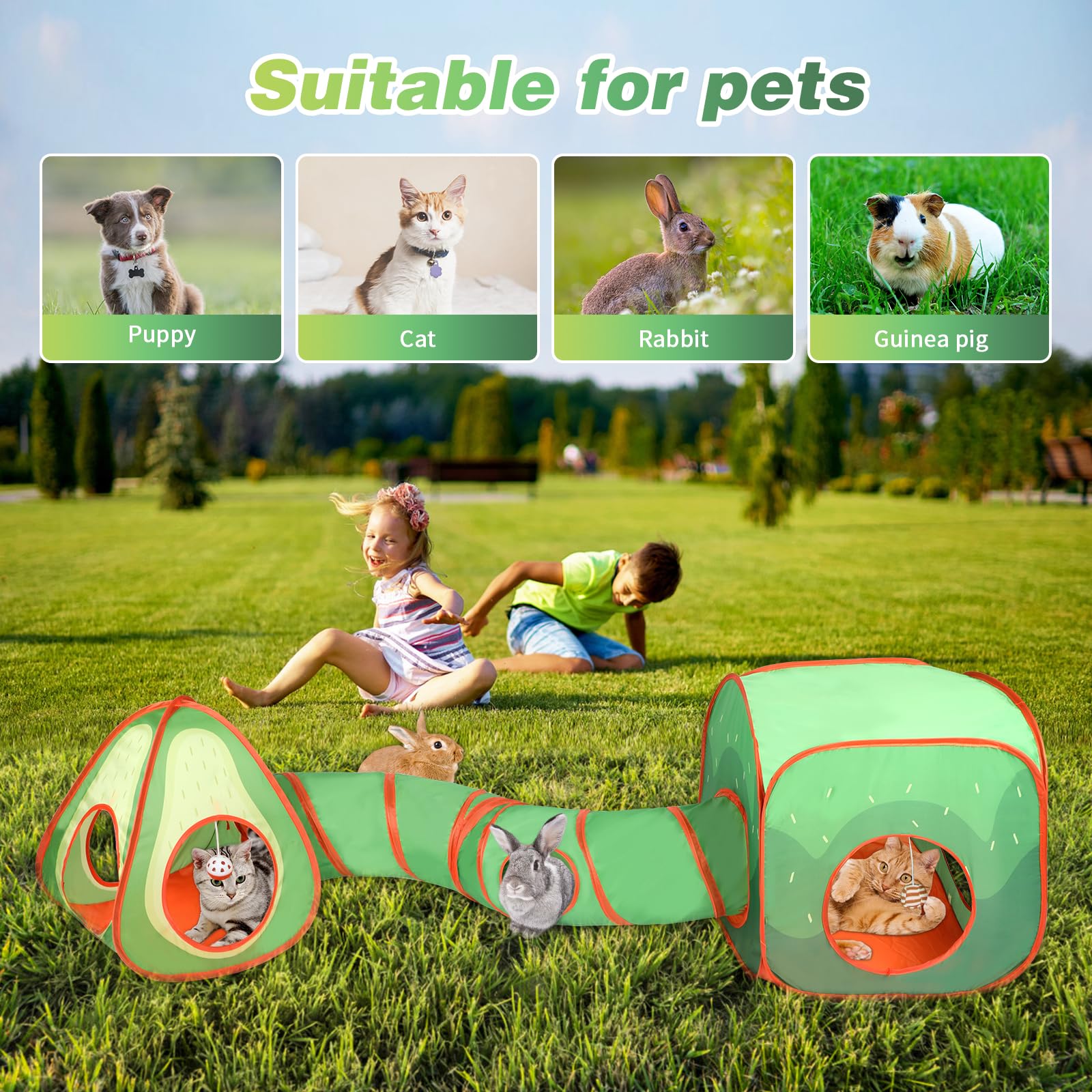Rypet Cat Tunnels For Indoor Cats With Cube Tent, Interactive Collapsible Cat Tube And Foldable Cubes Playground For Hiding Hunt
